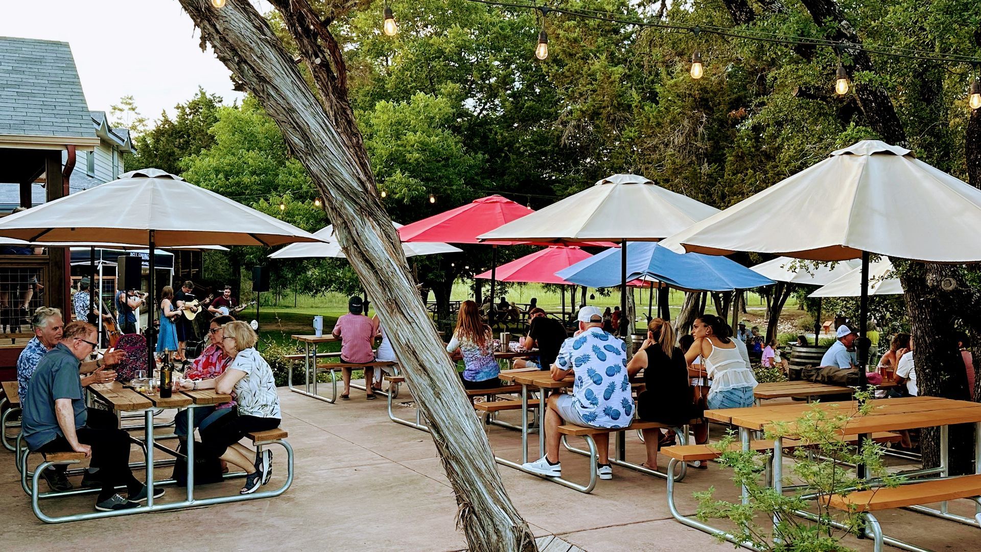 Outdoor patio with people at picnic tables, under colorful umbrellas, with trees in the background.