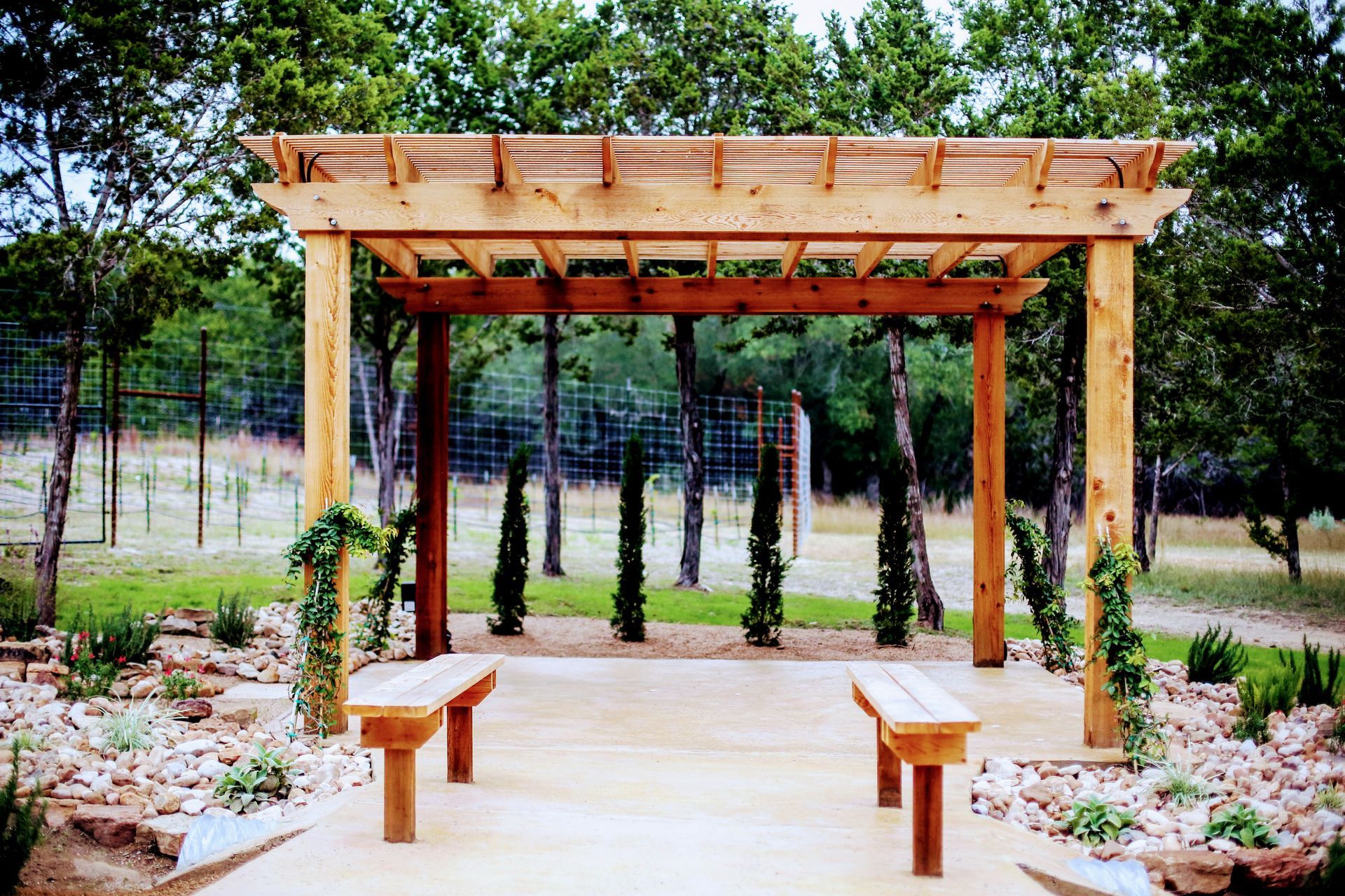 Wooden pergola with two benches; climbing plants; forest in background.