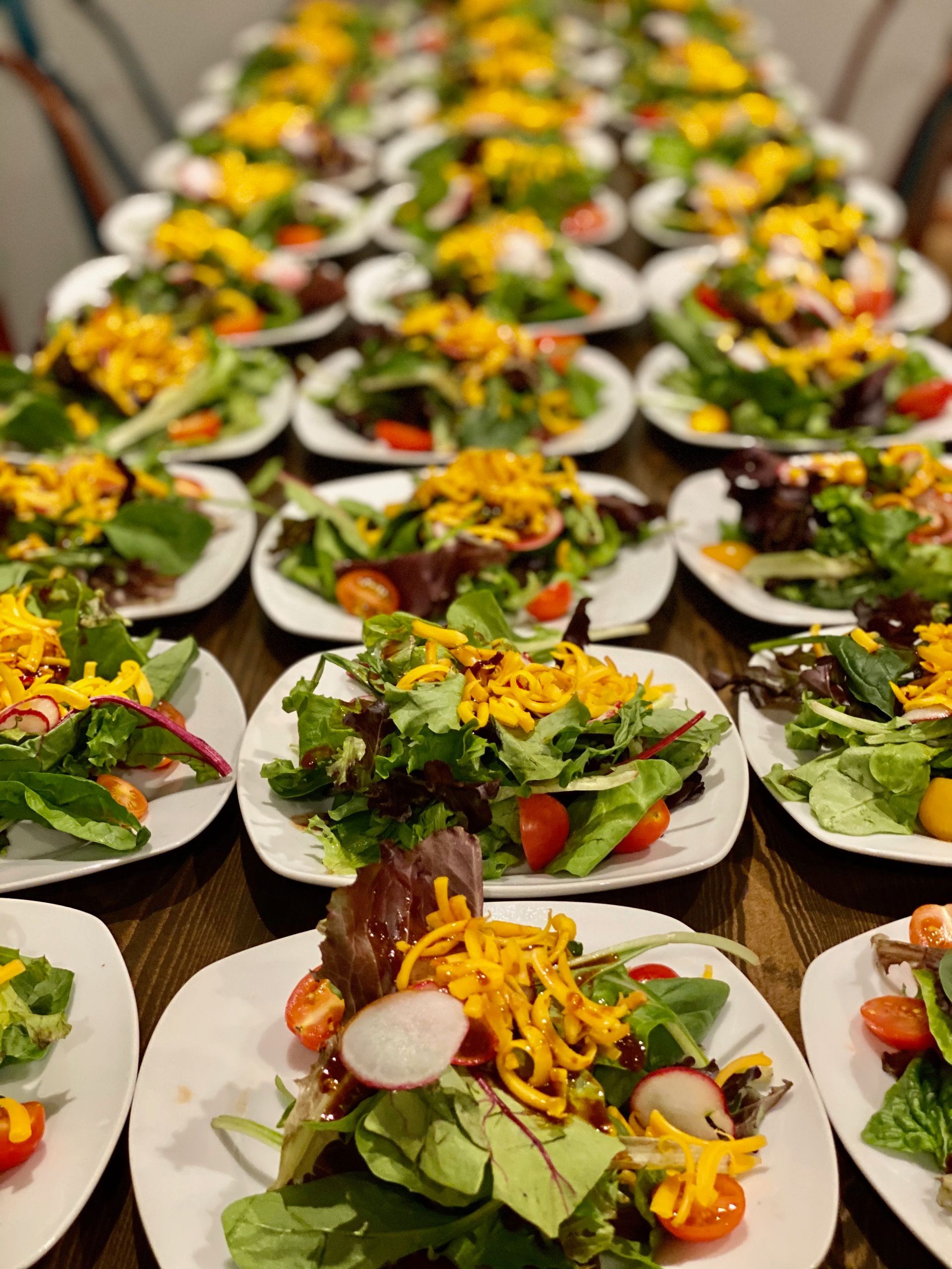 Salads on white plates, arranged in rows on a wooden table. Greens, tomatoes, radishes, and shredded cheese are visible.