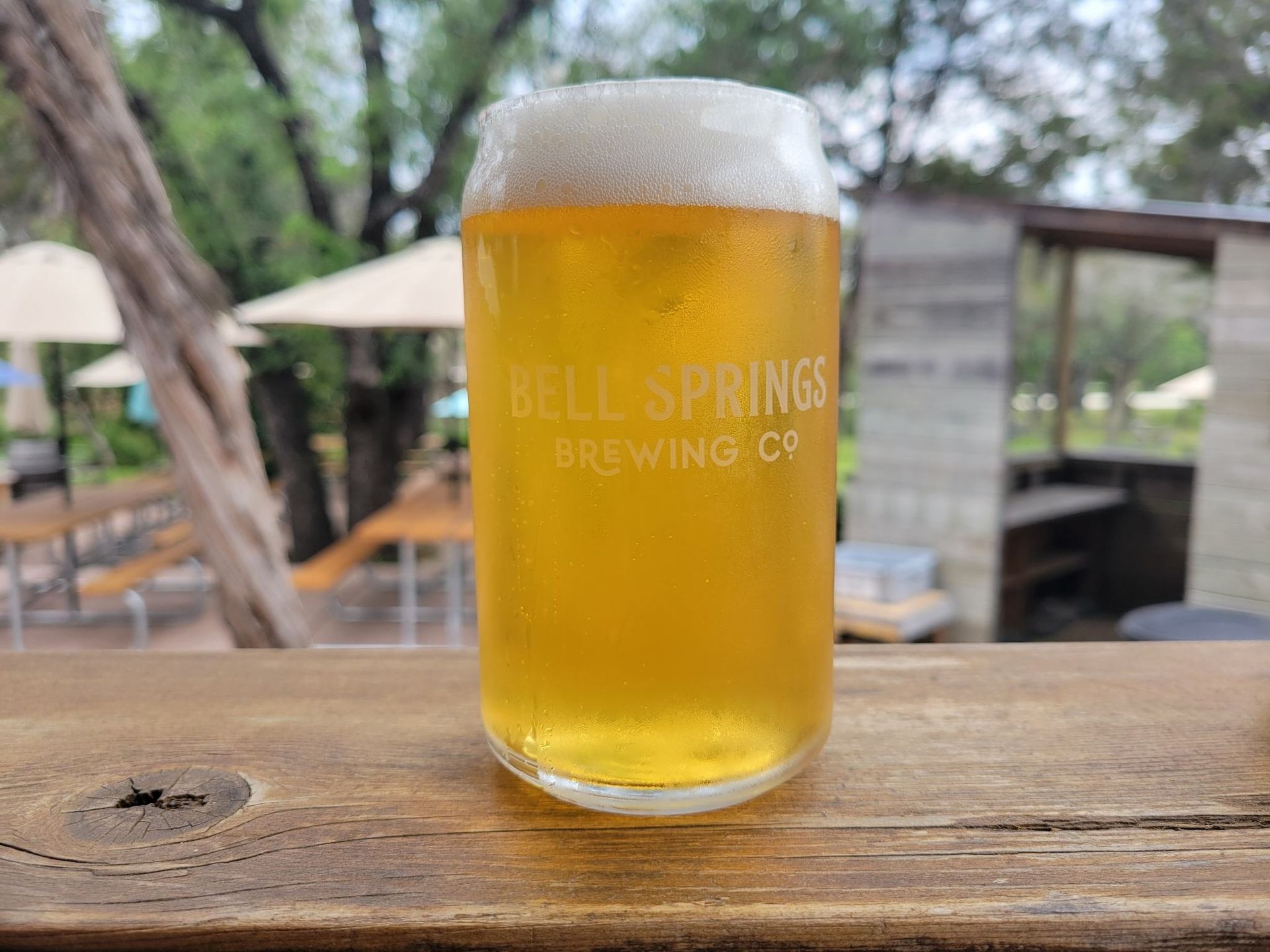 Glass of golden beer with foam at Bell Springs Brewing Co. outdoor patio.