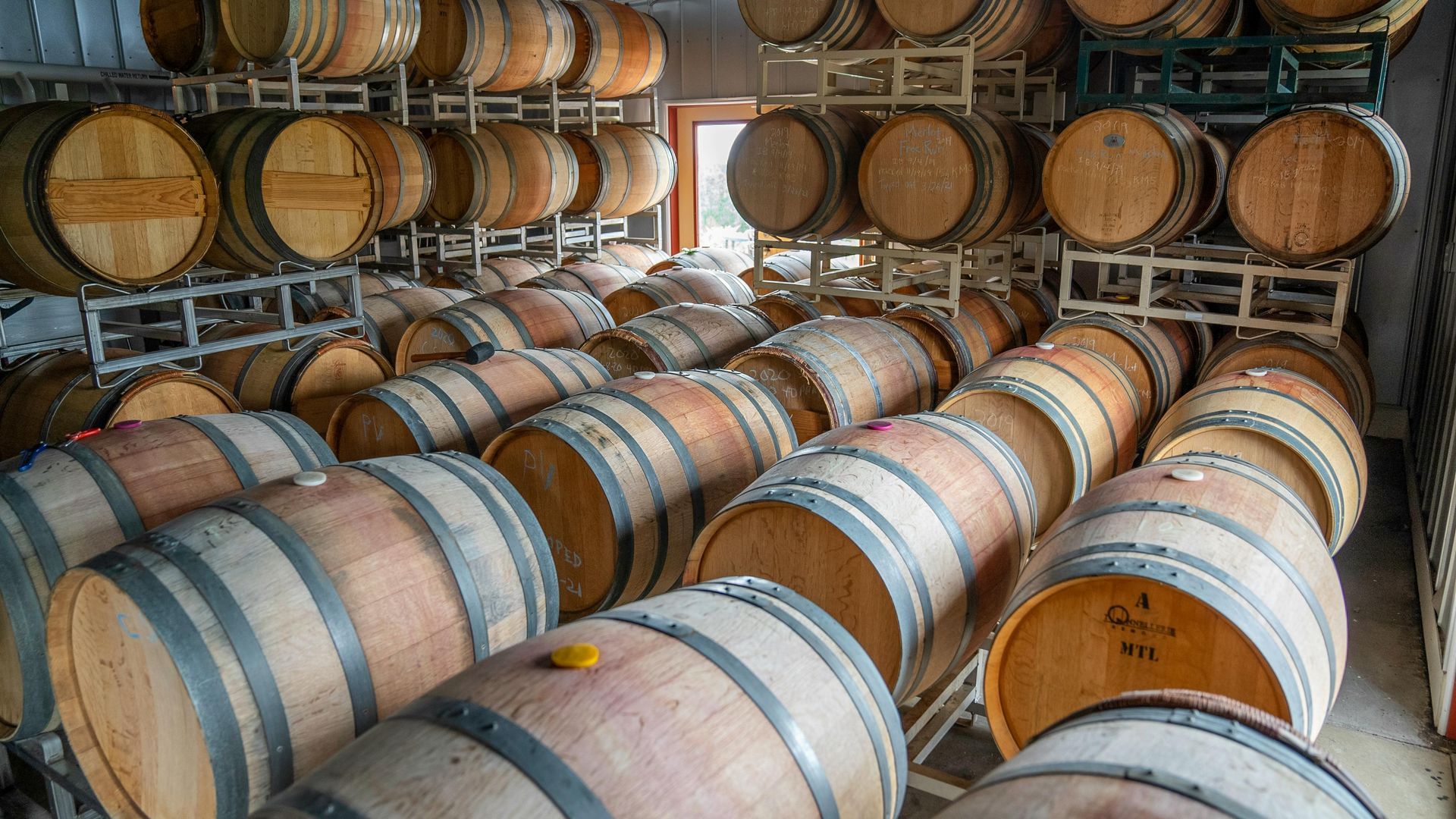Wine barrels stacked inside a storage room, wooden shelves, many rows, some light through the door.