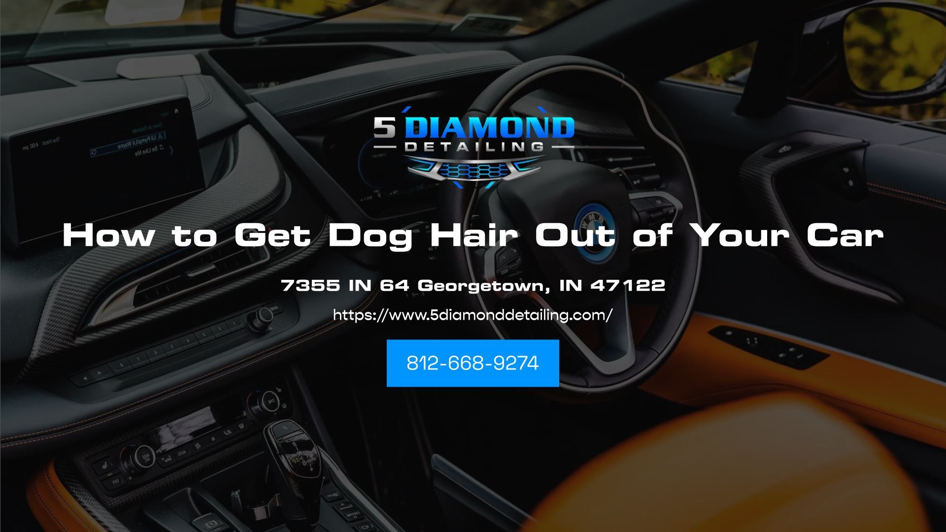 Get Dog Hair Out Of Your Car