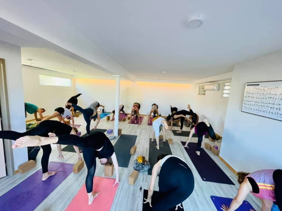 Un groupe de personnes fait du yoga dans une pièce.