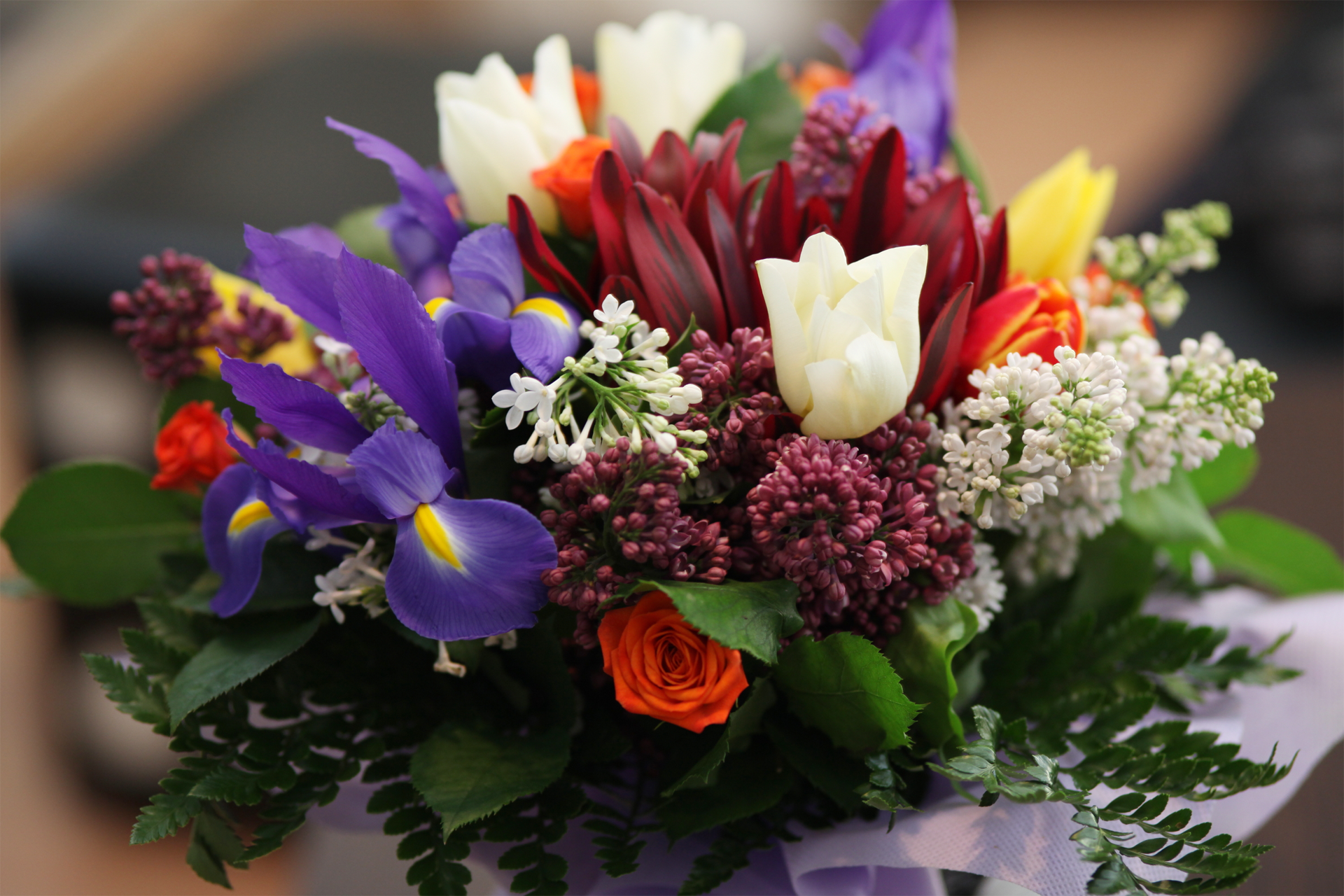 Colorful mixed flower bouquet with purple irises, white tulips, red and orange blooms, and green foliage