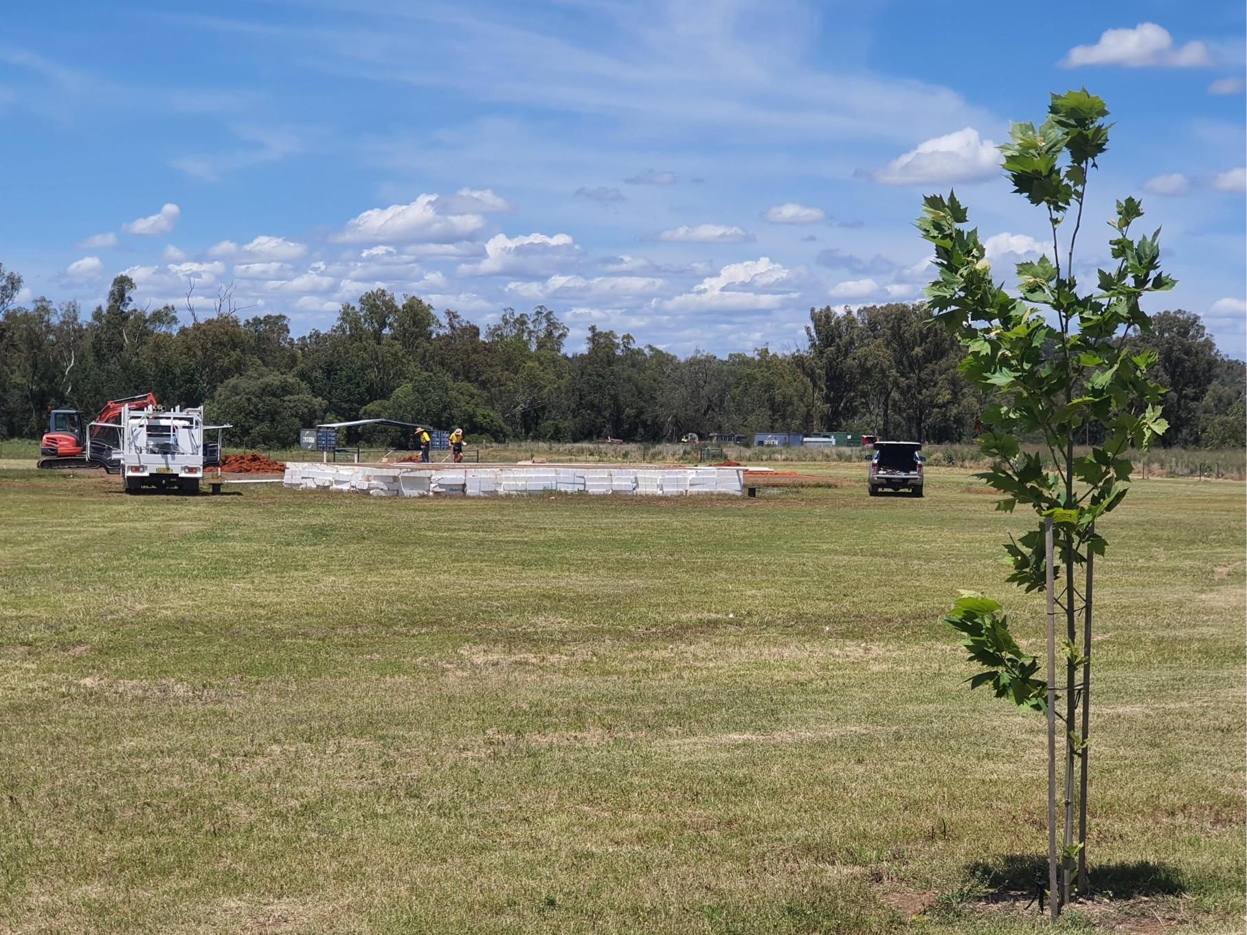 A Small Tree in the Middle of a Grassy Field — Kareela Constructions In Tamworth, NSW