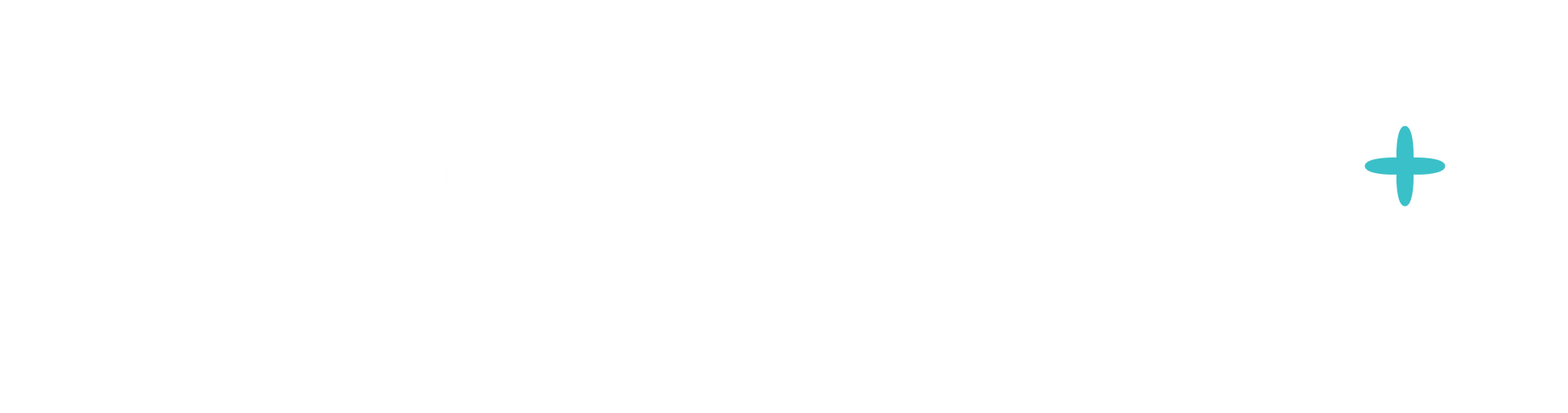 North Search Executive Search Firm Sydney