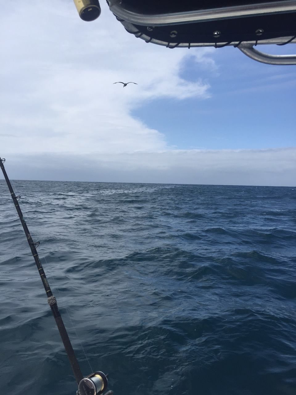 Fishing rod on boat with ocean view and seagull in the sky.