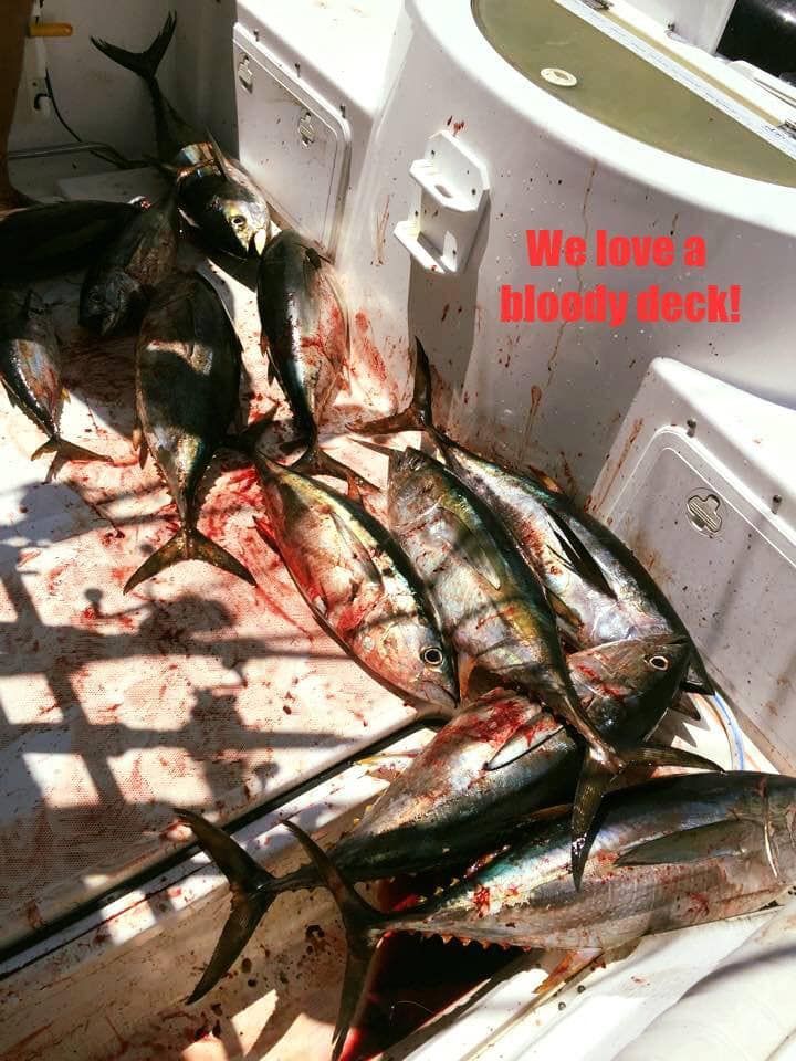 A collection of freshly caught tuna on the deck of a boat, covered in blood, with the text 