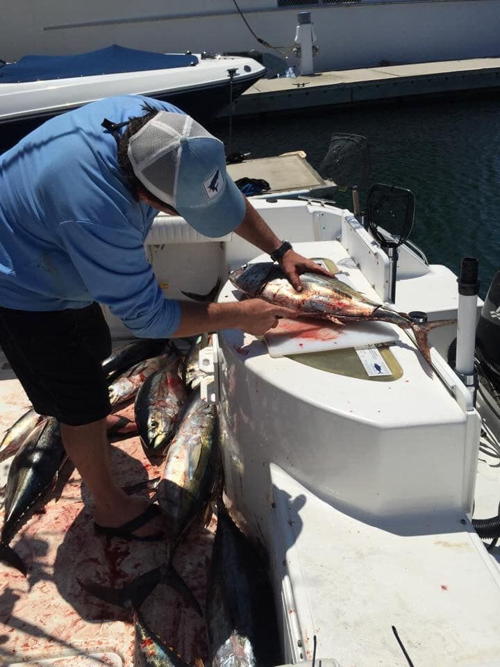 A person wearing a blue shirt and cap cleans a fresh tuna on a boat deck, surrounded by several other caught fish.