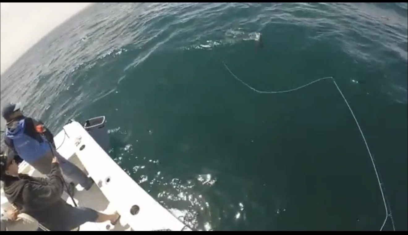 Two people on a boat fishing; fishing line in water; a fish jumps out of the water.