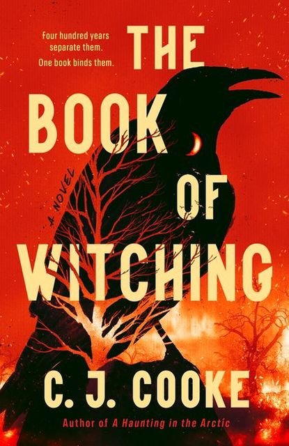 Book cover for “The Book of Witching” by CJ Cooke, red background with a black bird outline sitting on a tree.
