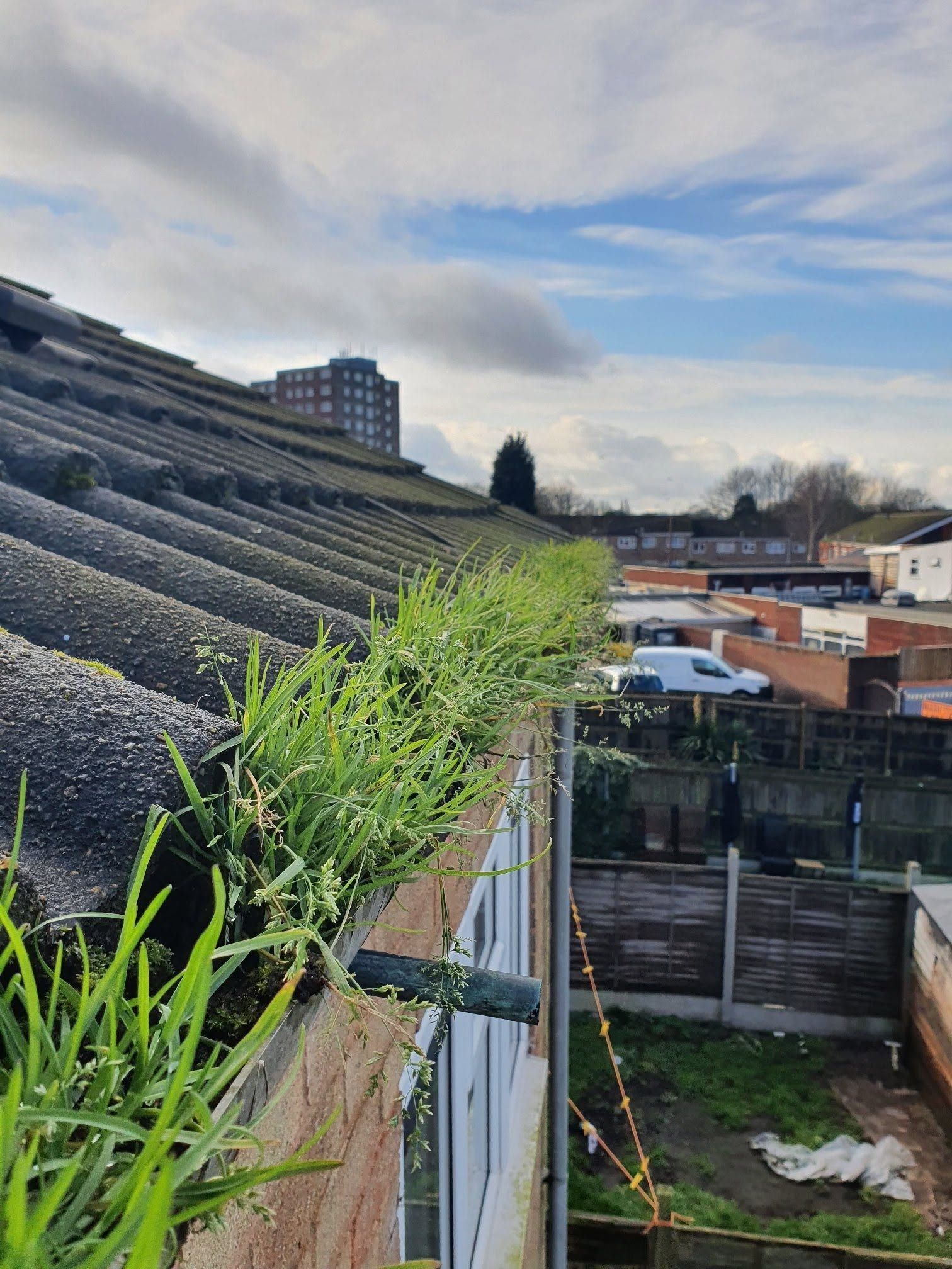 Moss and grass blocking a house gutter before clearance