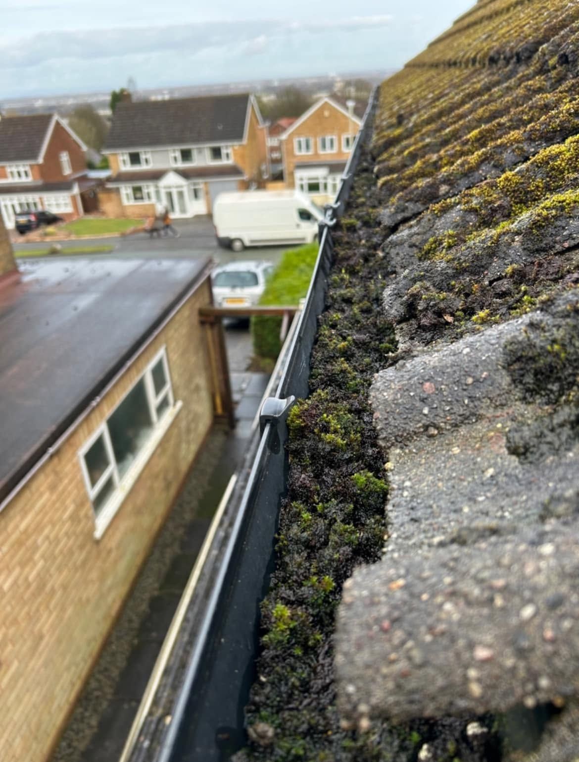 Moss blocking a house gutter before clearance