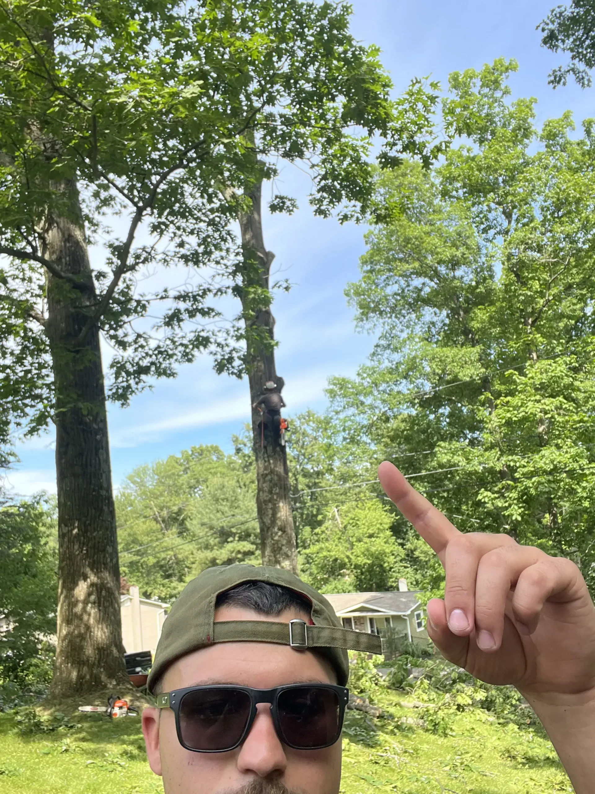 Man in sunglasses and cap points upward in a leafy outdoor park under a blue sky