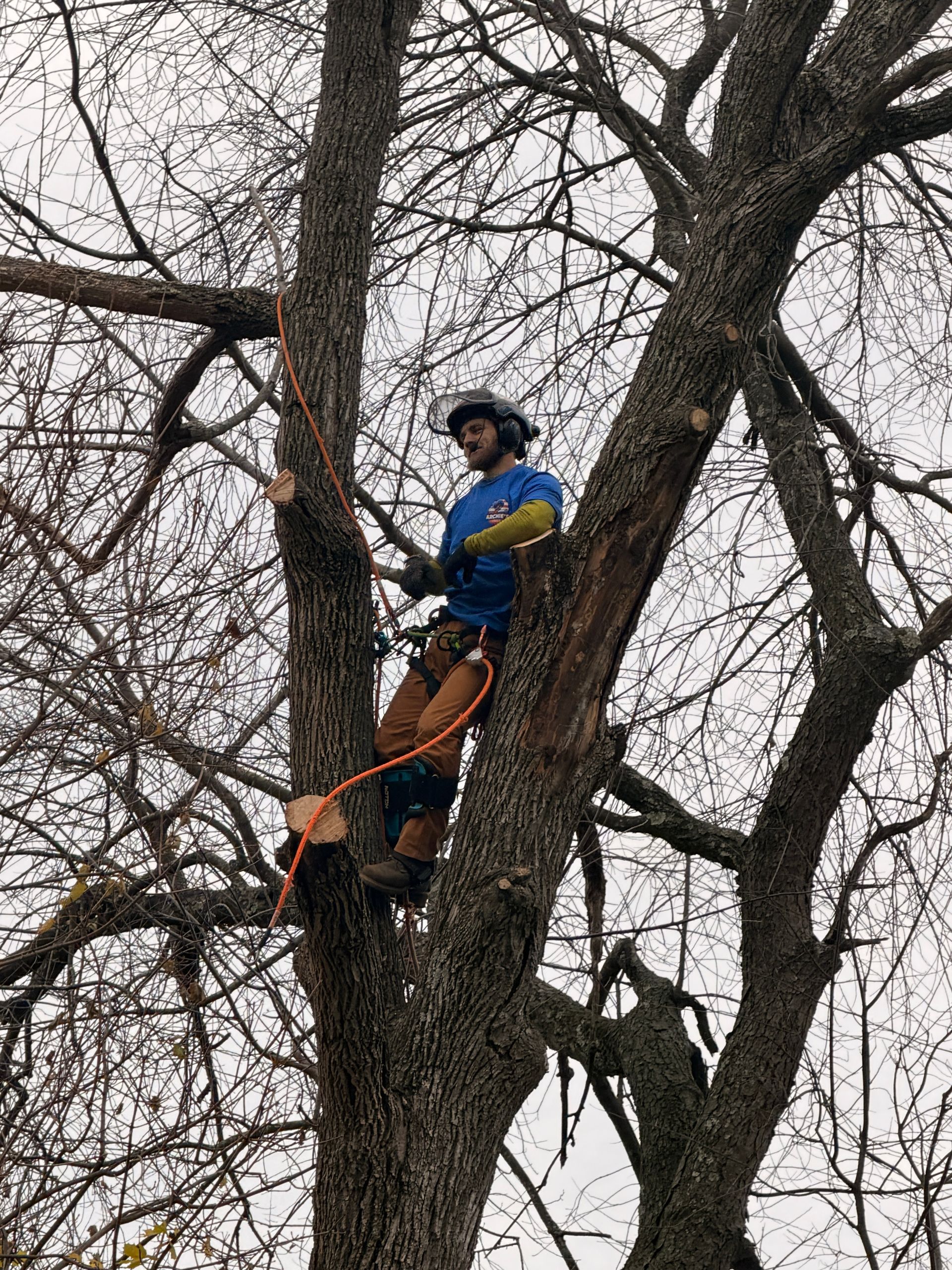 Person wearing a blue jacket and orange pants climbing a tree with a rope in a leafless forest