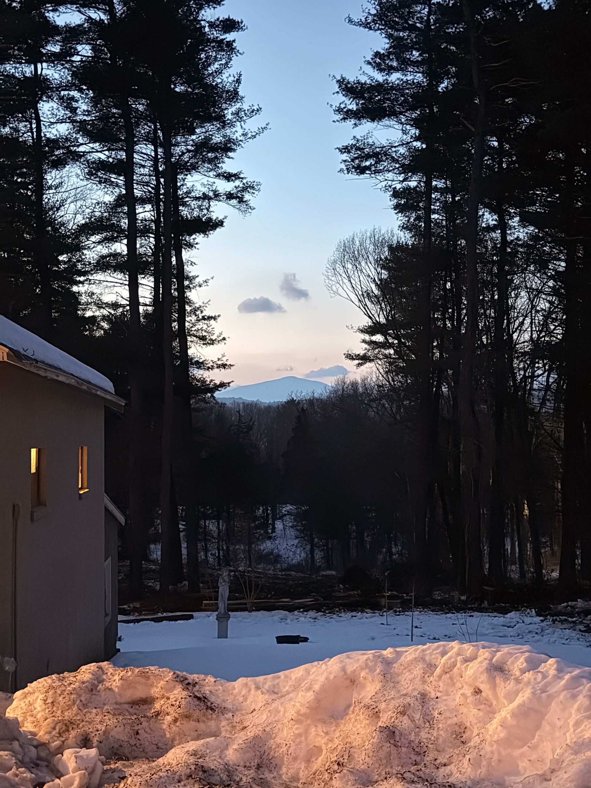 Snow-covered yard at dusk with tall pine trees and a distant mountain beyond a house corner.
