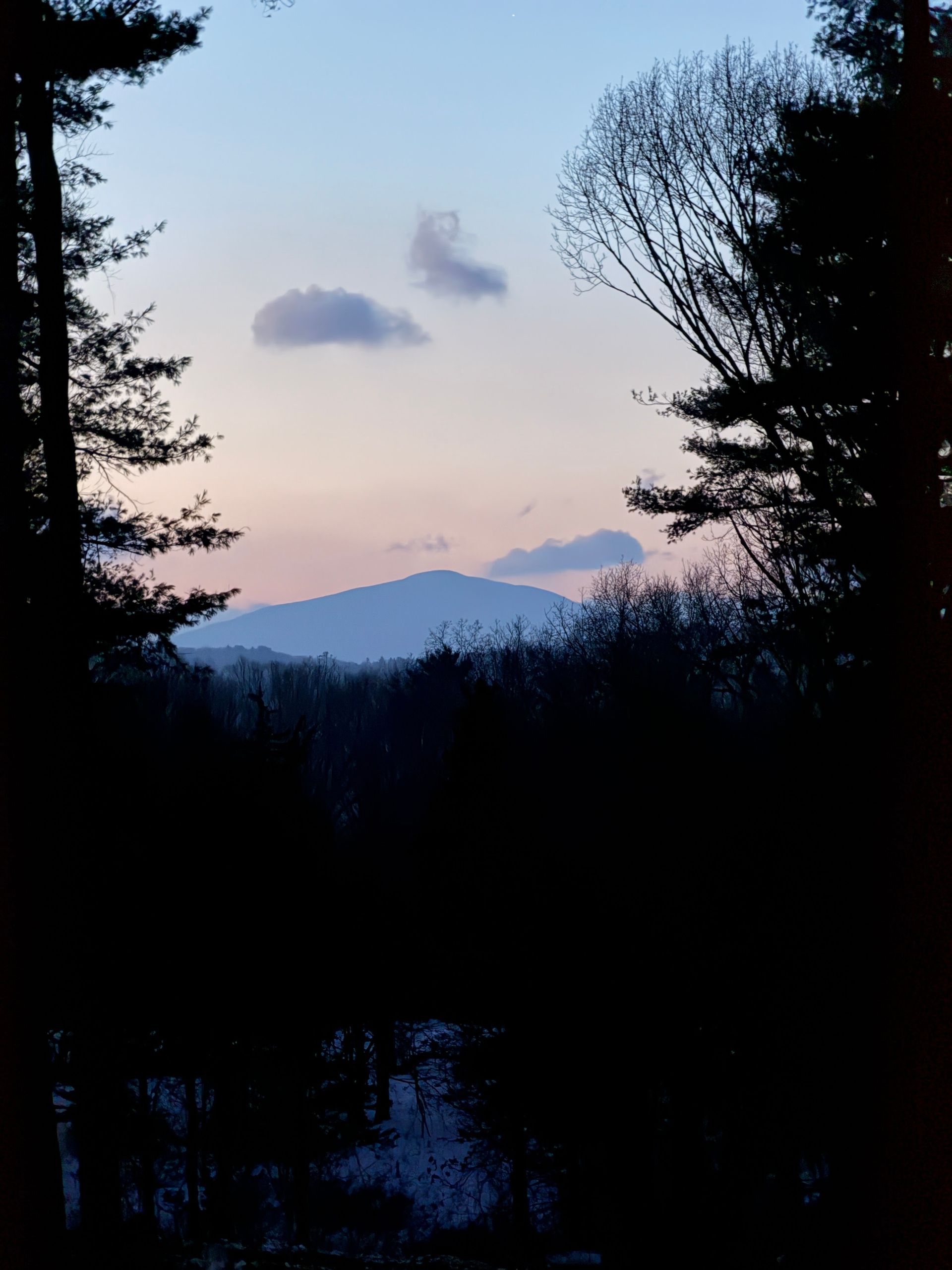 Twilight mountain silhouette framed by dark trees under a pale pink-blue sky with two clouds