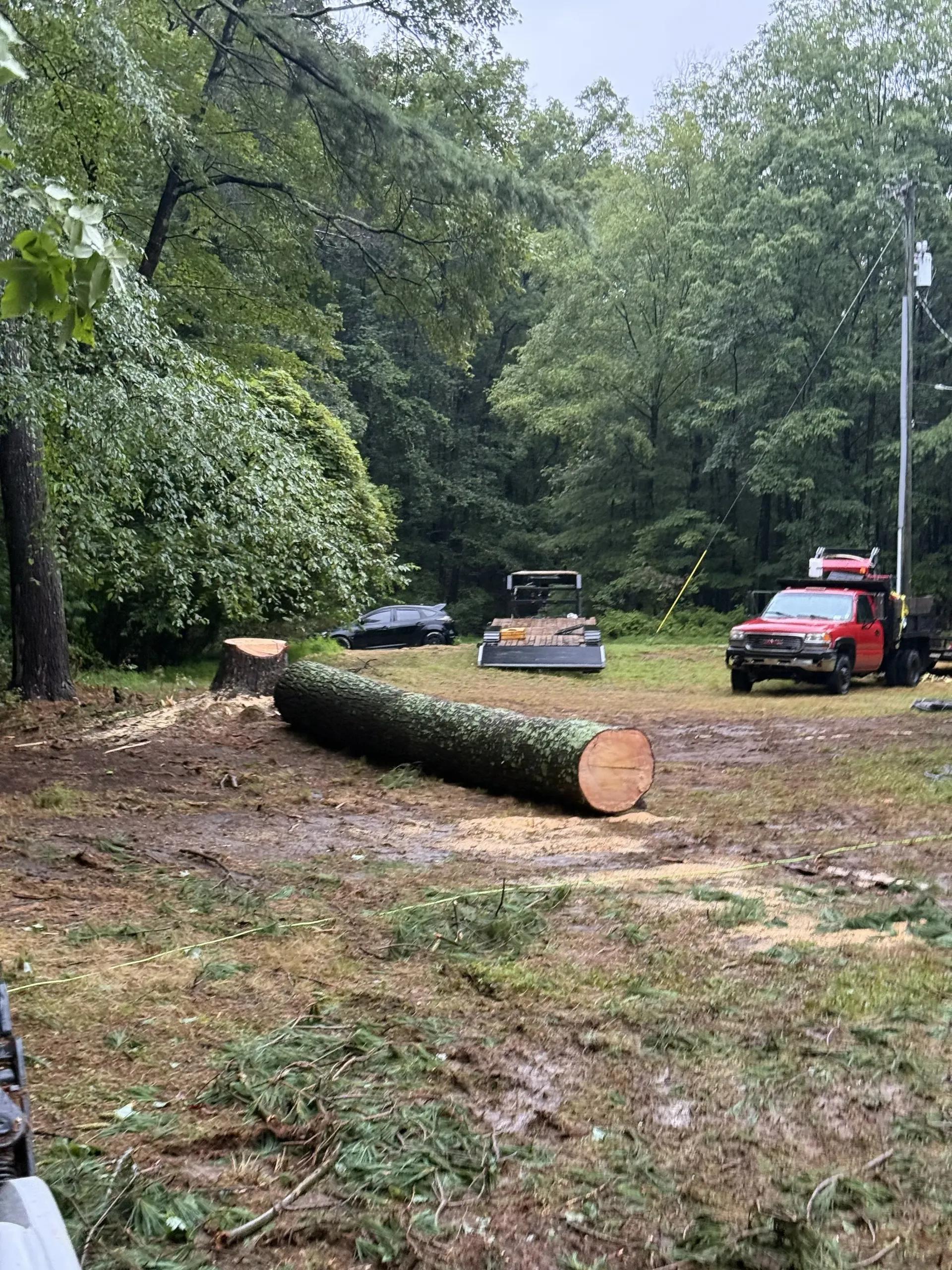 Felled tree trunk in muddy yard with red utility vehicle and equipment under rainy woods