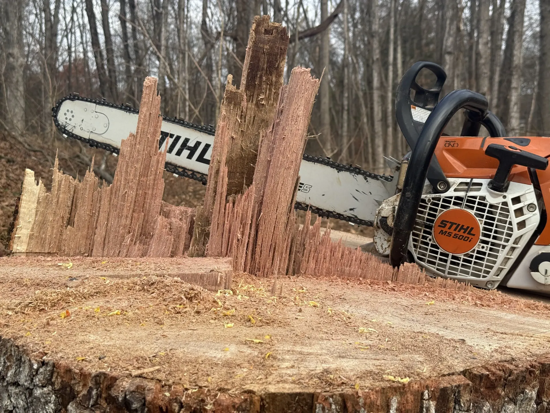 Chainsaw cutting a tree stump, sending wood chips flying in a wooded area