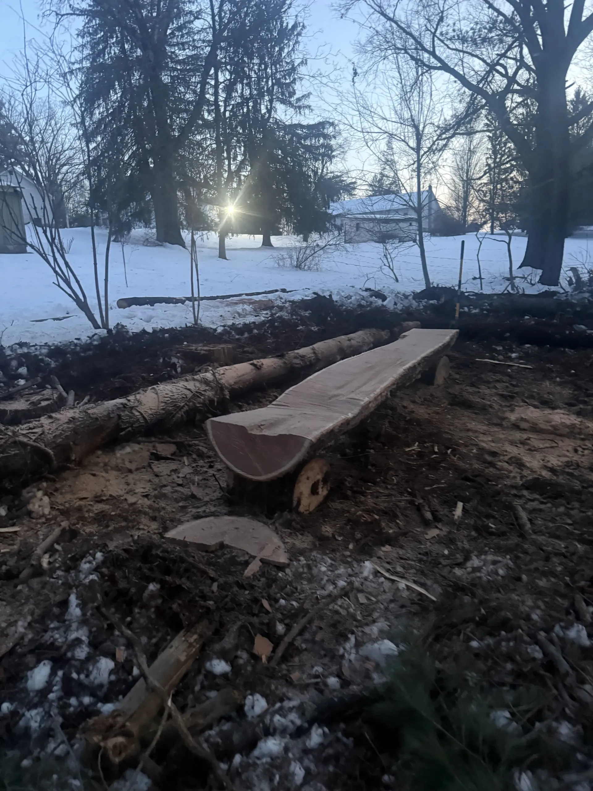 A wooden bench beside a snowy forest path at sunset, with fallen logs in the foreground