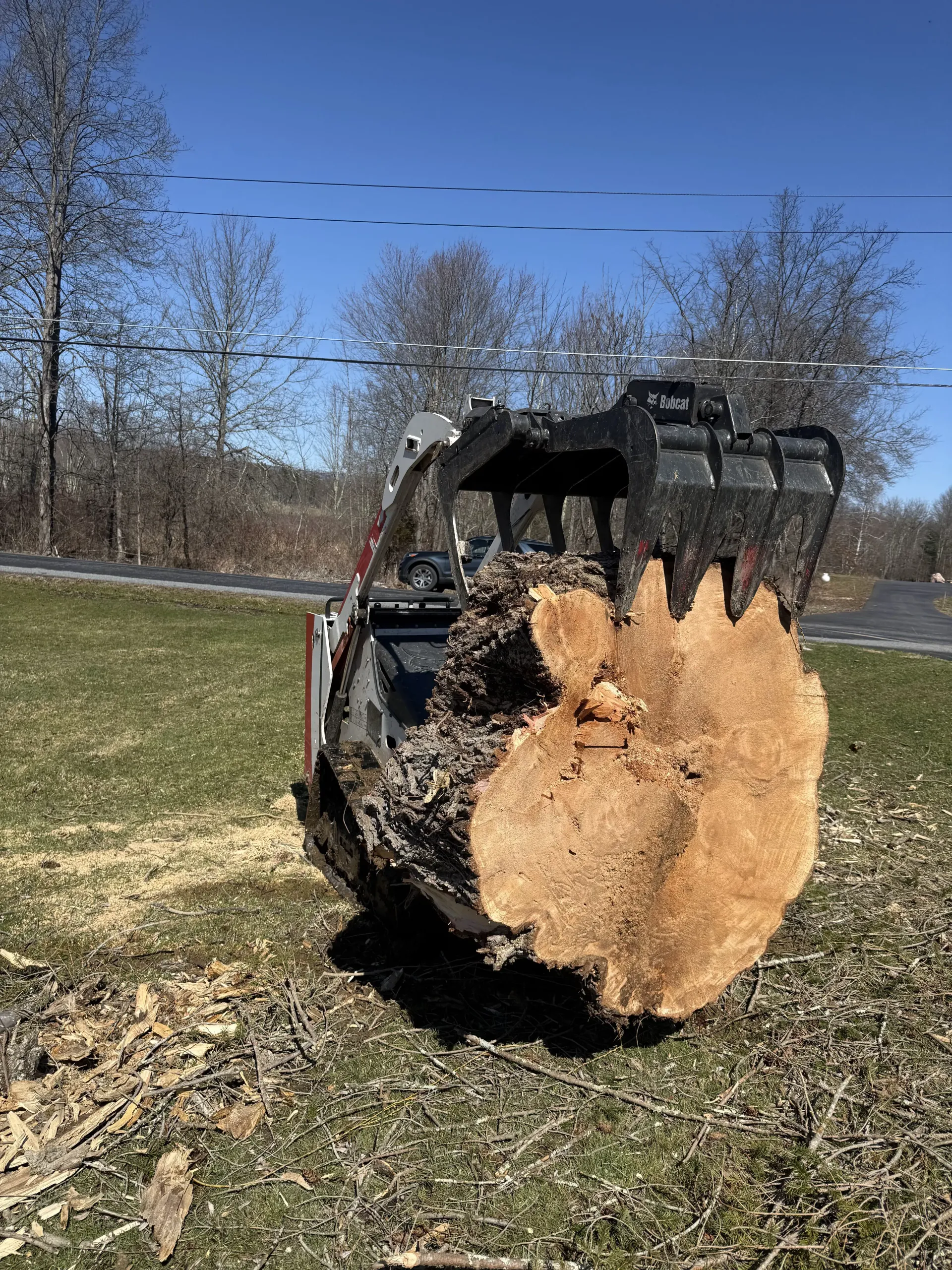 A log splitter holding a large cut tree trunk in a grassy yard on a sunny day.