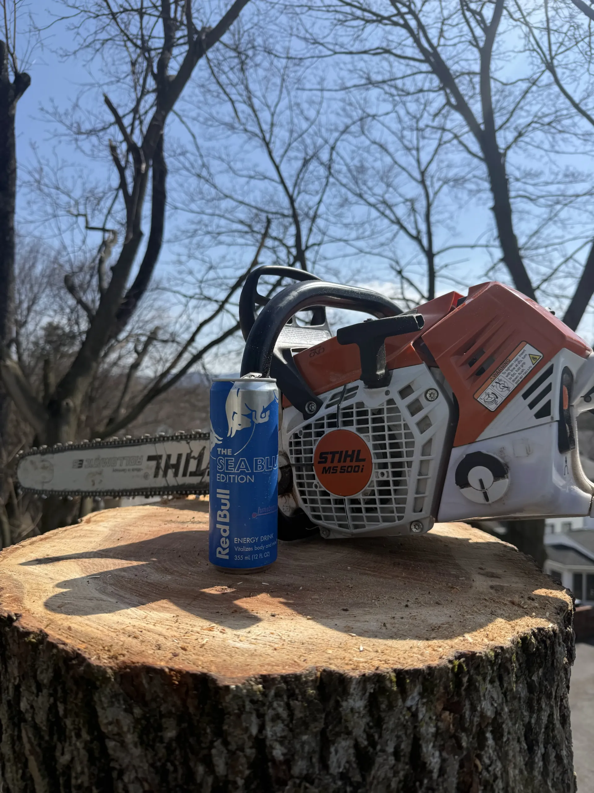 Chainsaw, blue can, and white bottle on a freshly cut tree stump in a wooded area.
