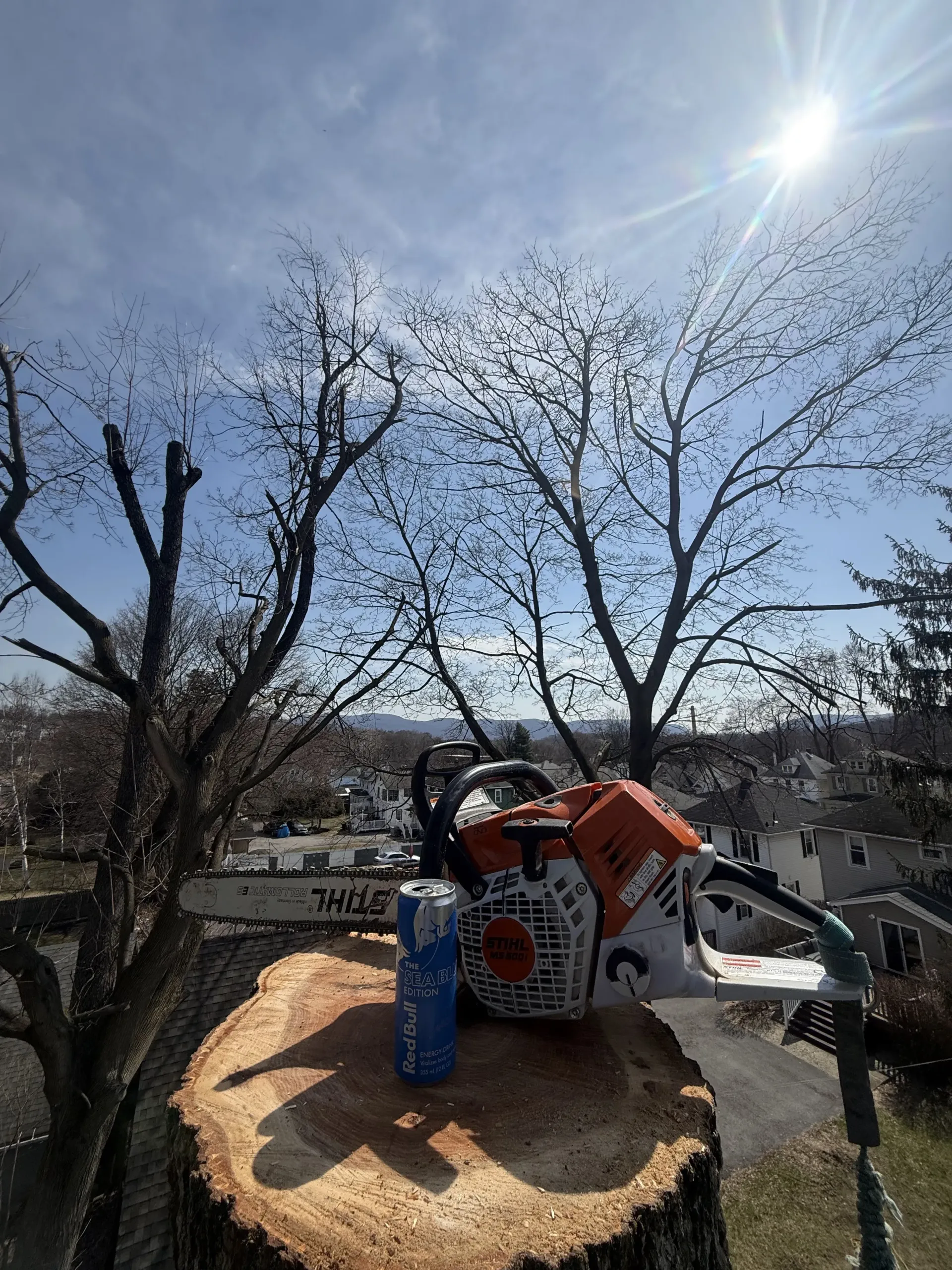 Chainsaw, blue can, and white helmet on a cut tree stump outdoors under a bright sunny sky.