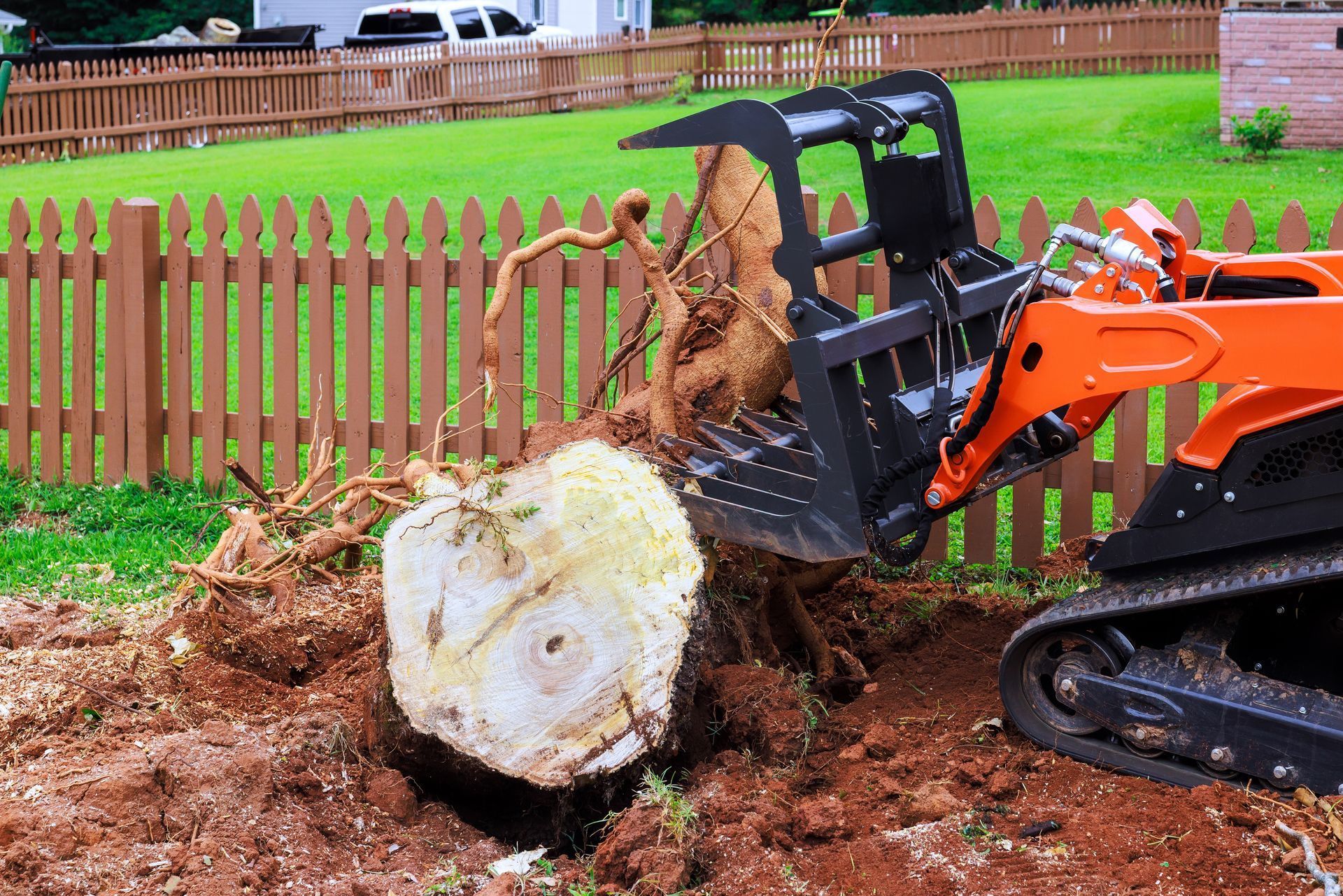Orange excavator lifting a large tree stump in a muddy yard near a wooden fence