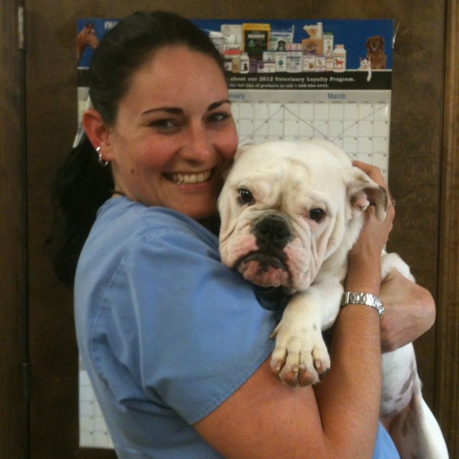 Dr. Kristyn Trotter, DVM