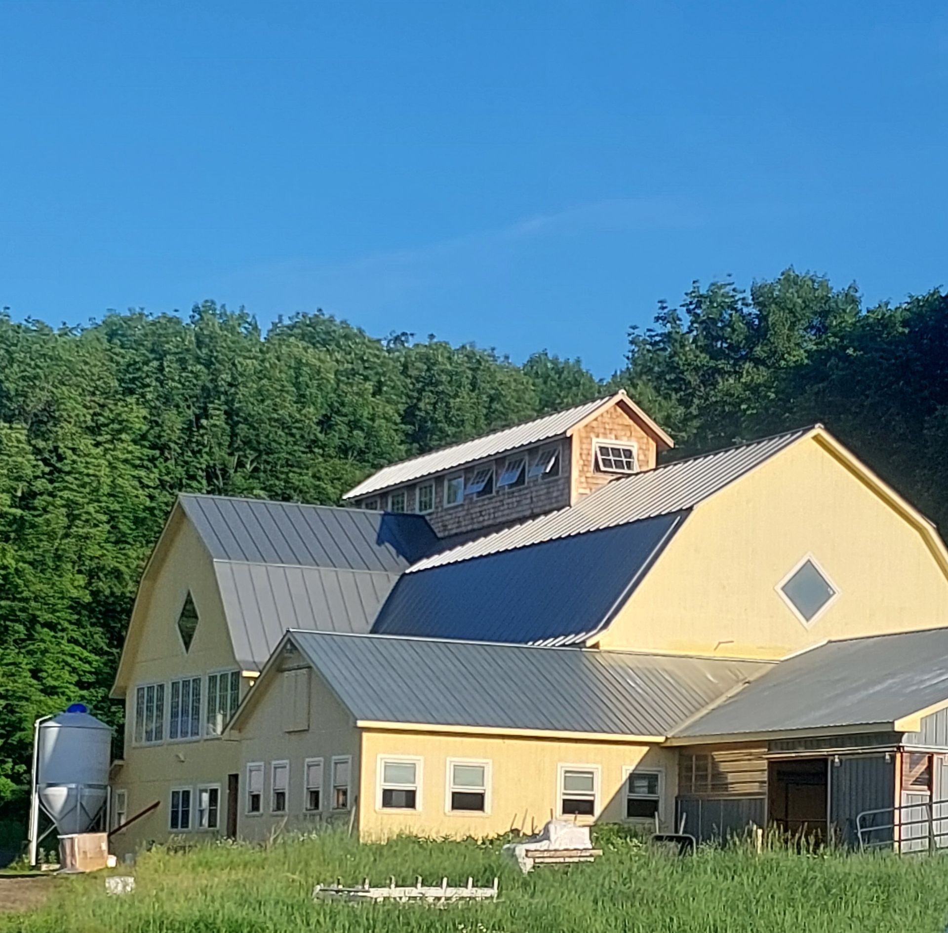 Yellow barn-style building with gray metal roof in a grassy field beside trees under a blue sky