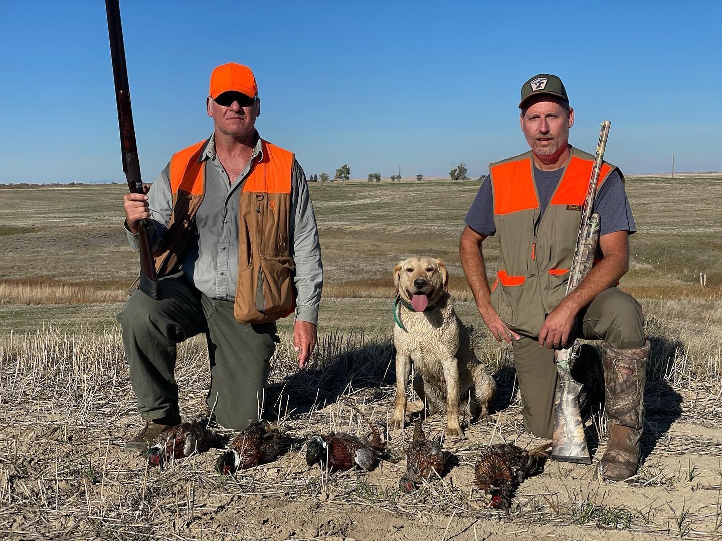 Upland/Waterfowl Gallery Image