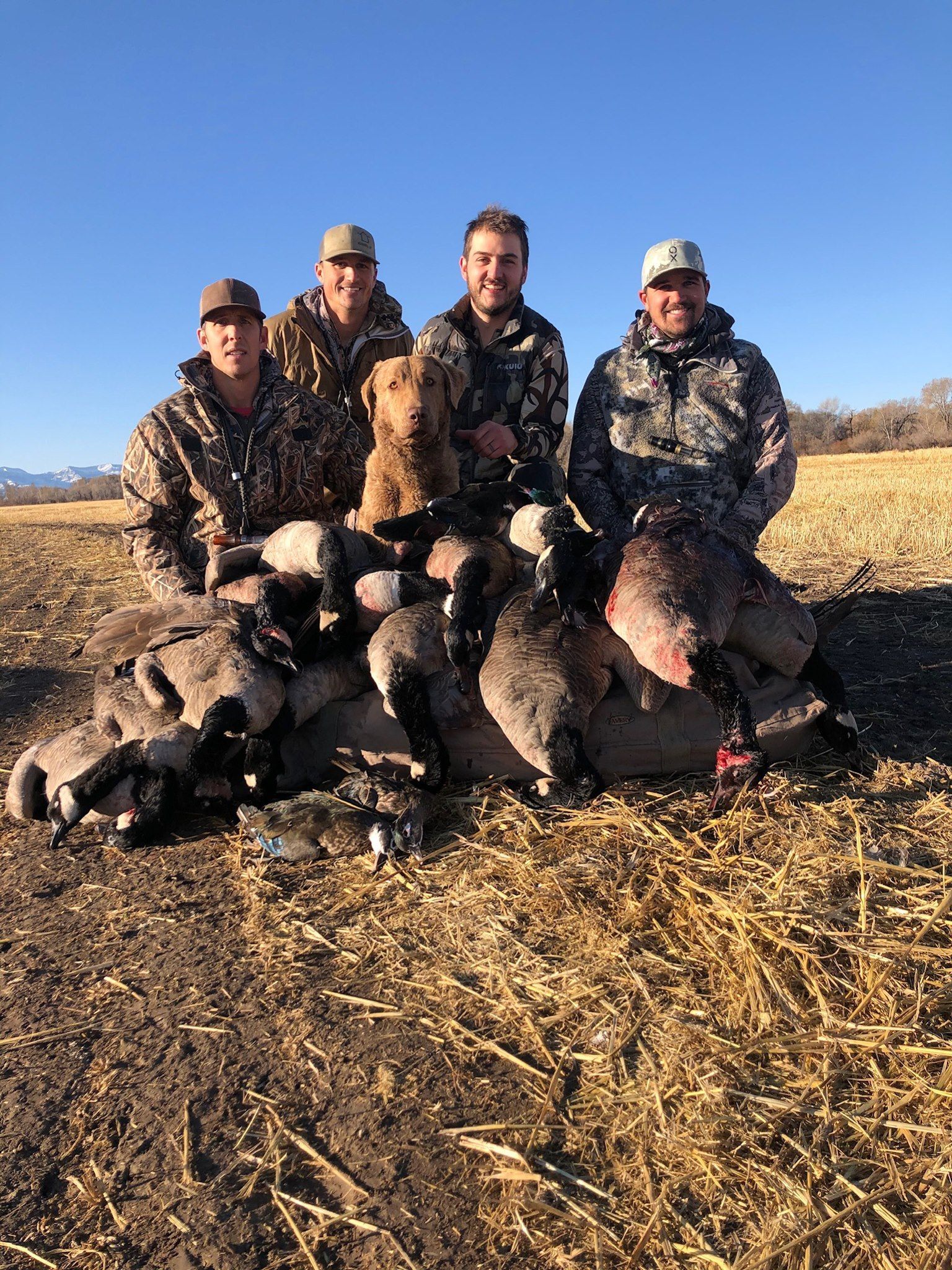 Bird Hunting Gallery Image