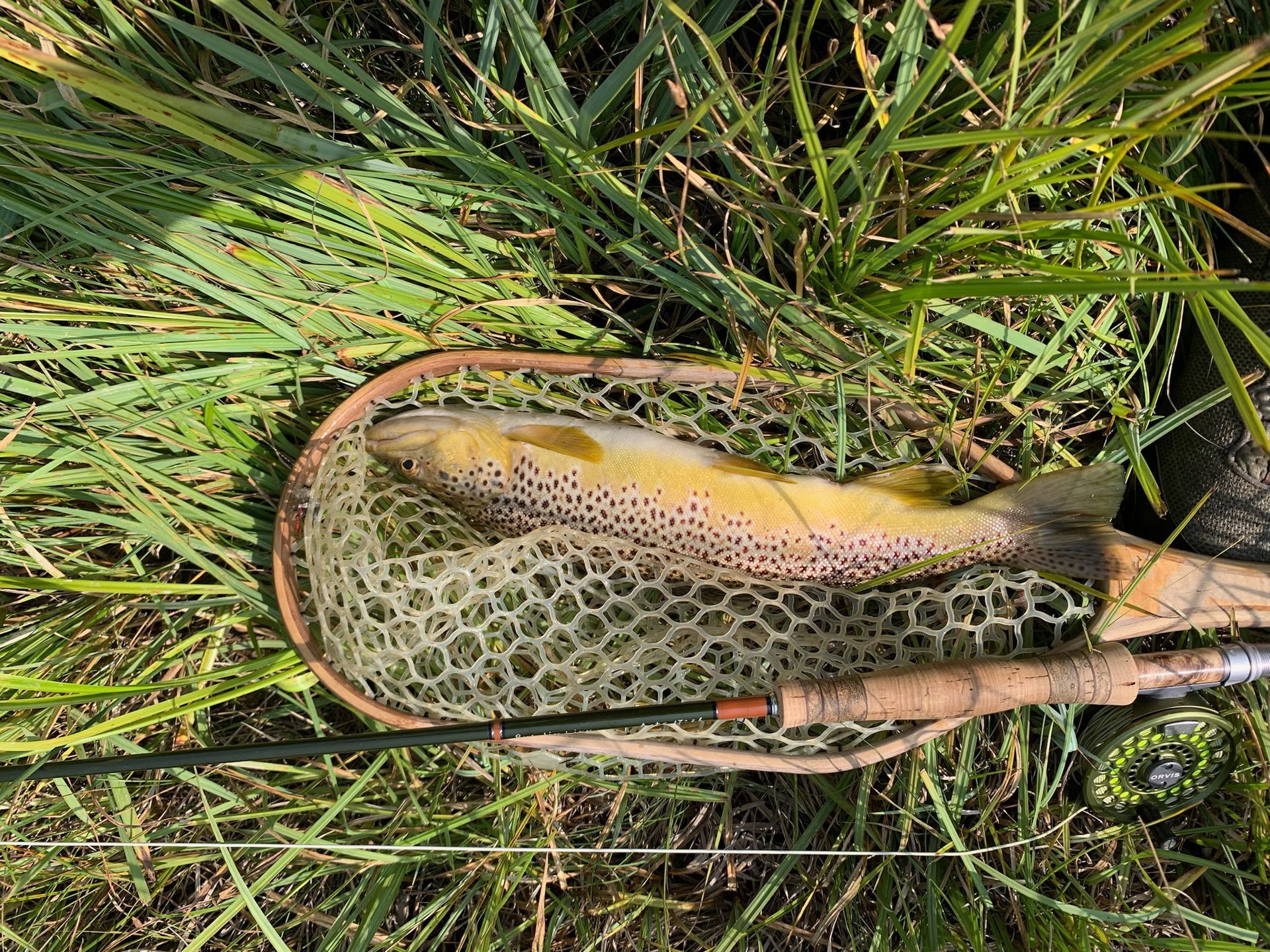 Fly Fishing Gallery Image