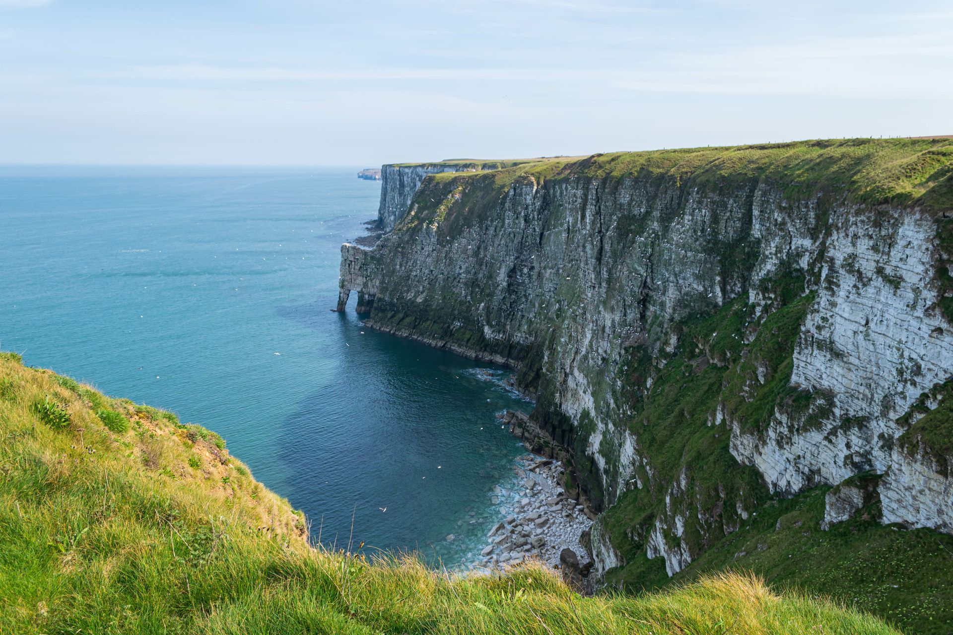 Cliffs meeting the turquoise sea on a sunny day. Green grass on top of cliffs, white rock face.