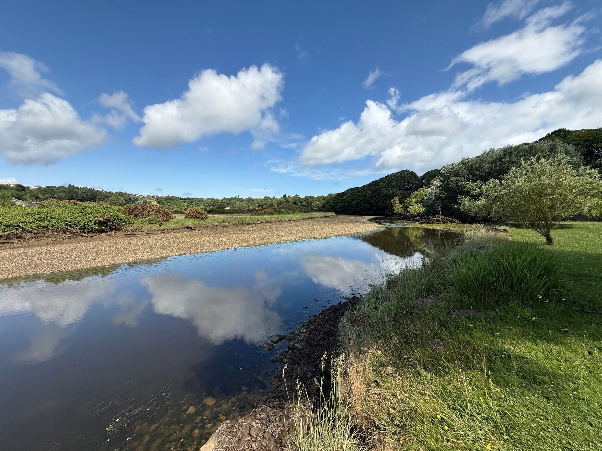 Reflective water body under a blue sky with clouds, grassy bank, and trees in a rural landscape.