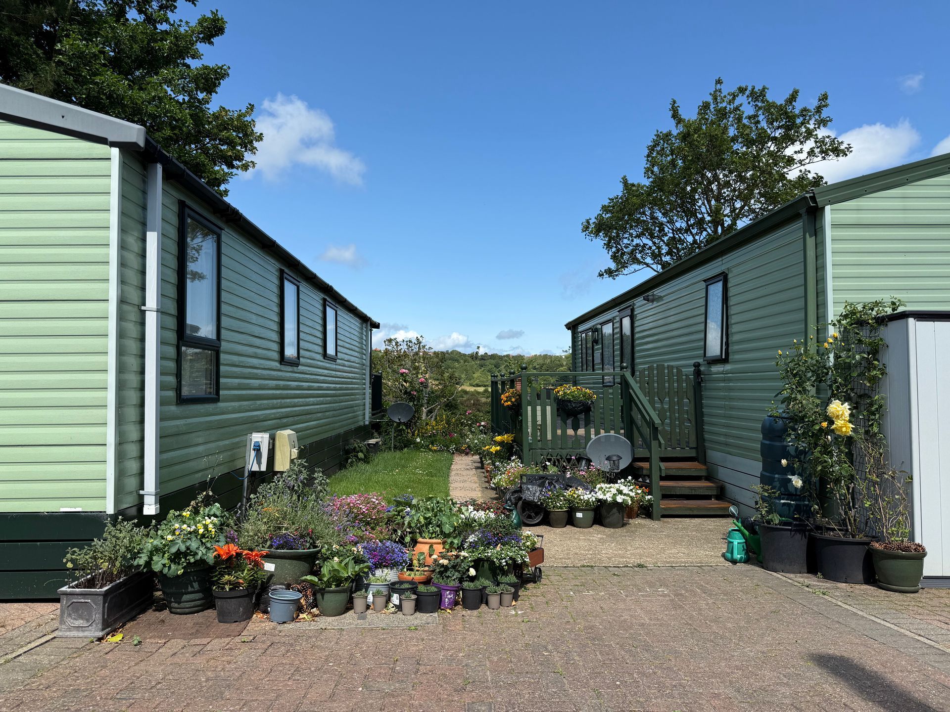 Two green cabins with flowers in front, under a blue sky.