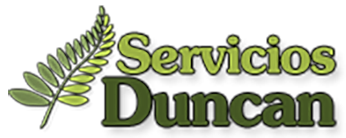 SERVICIOS DUNCAN LOGO