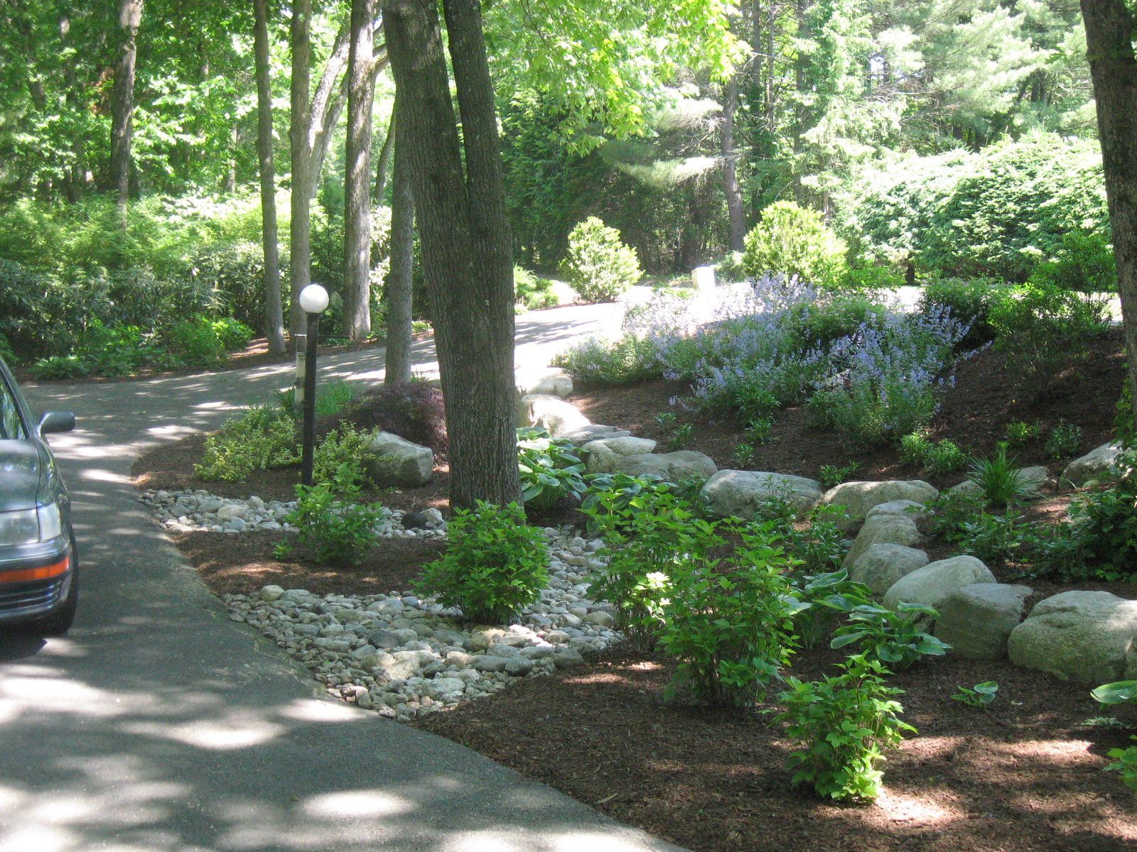 Landscaped driveway with trees, rocks, shrubs, and flowers.