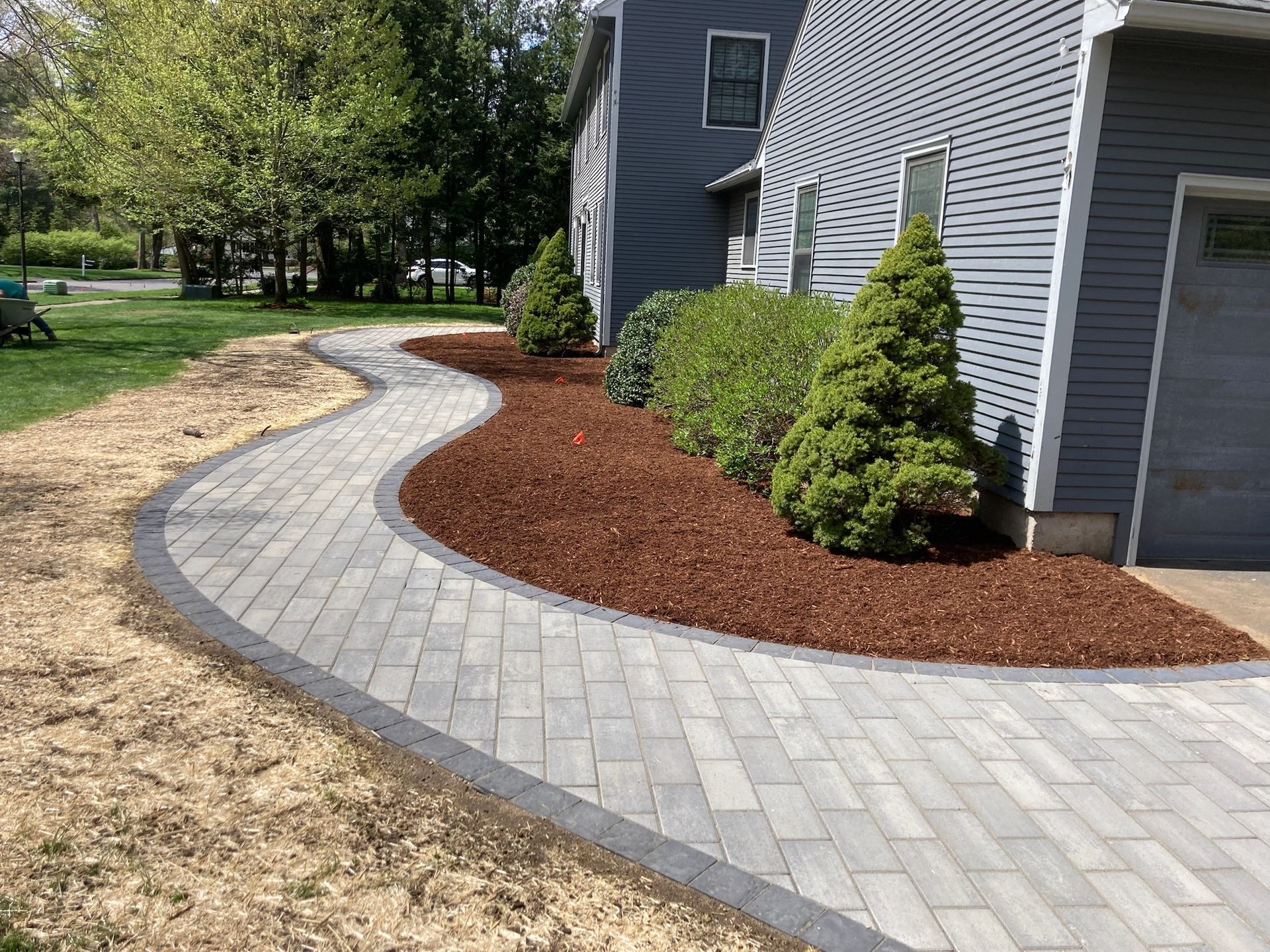 Brick pathway curves alongside a house with a mulch bed and small evergreen trees.