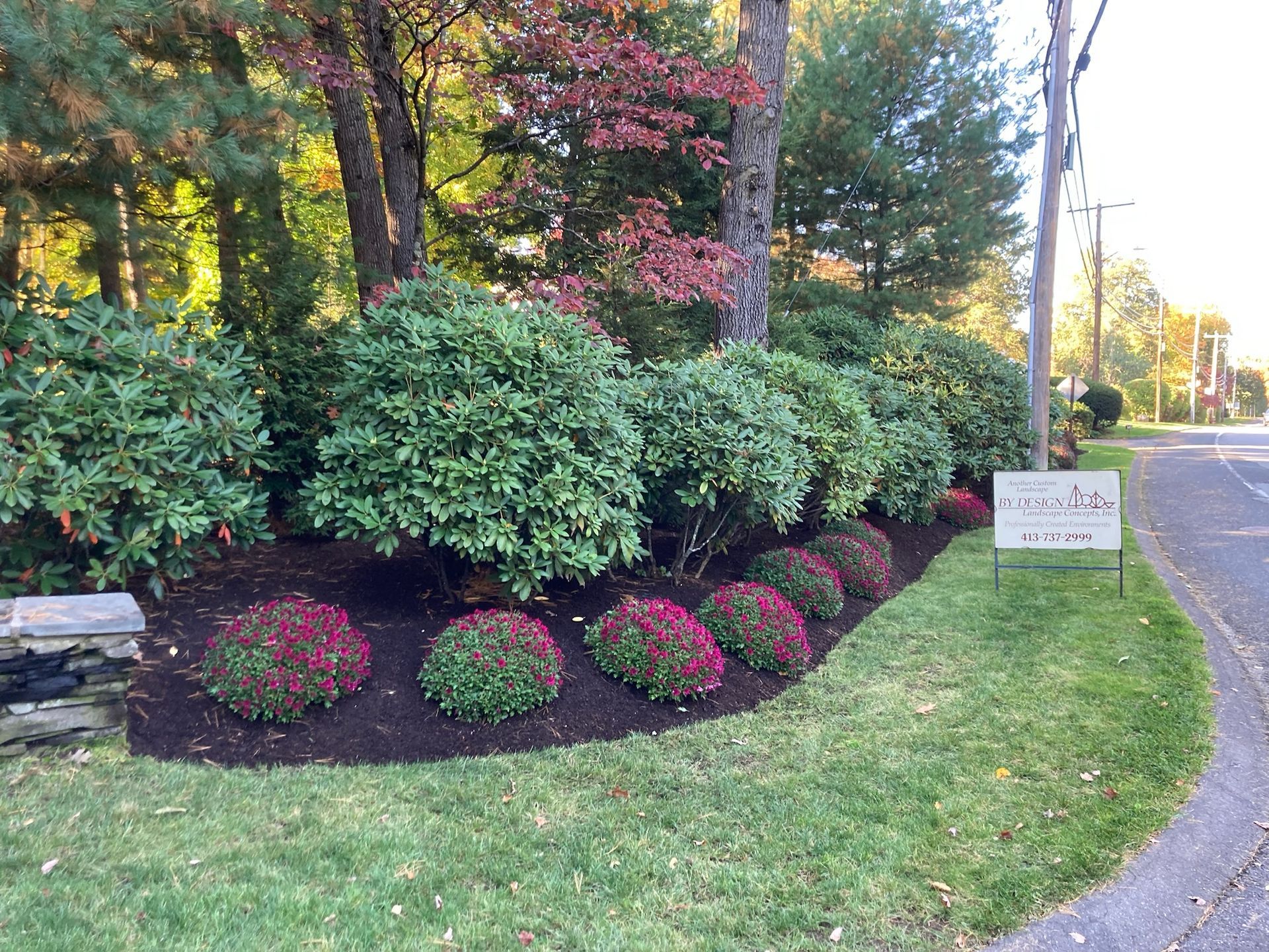 A well-manicured garden bed with green and pink shrubs, mulched soil, and a lawn.