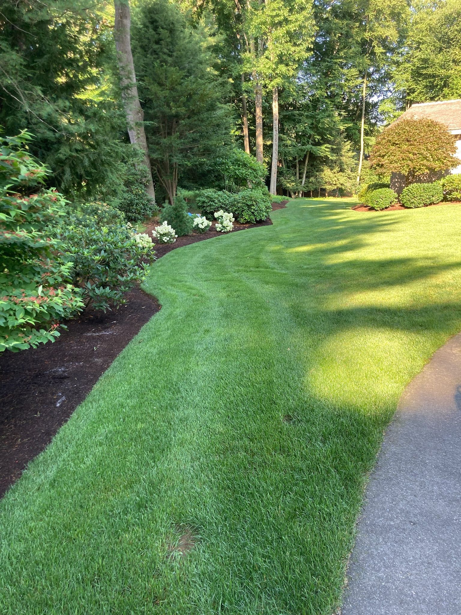 Lush green lawn borders a mulched garden bed with flowering plants and trees in a sunny outdoor setting.