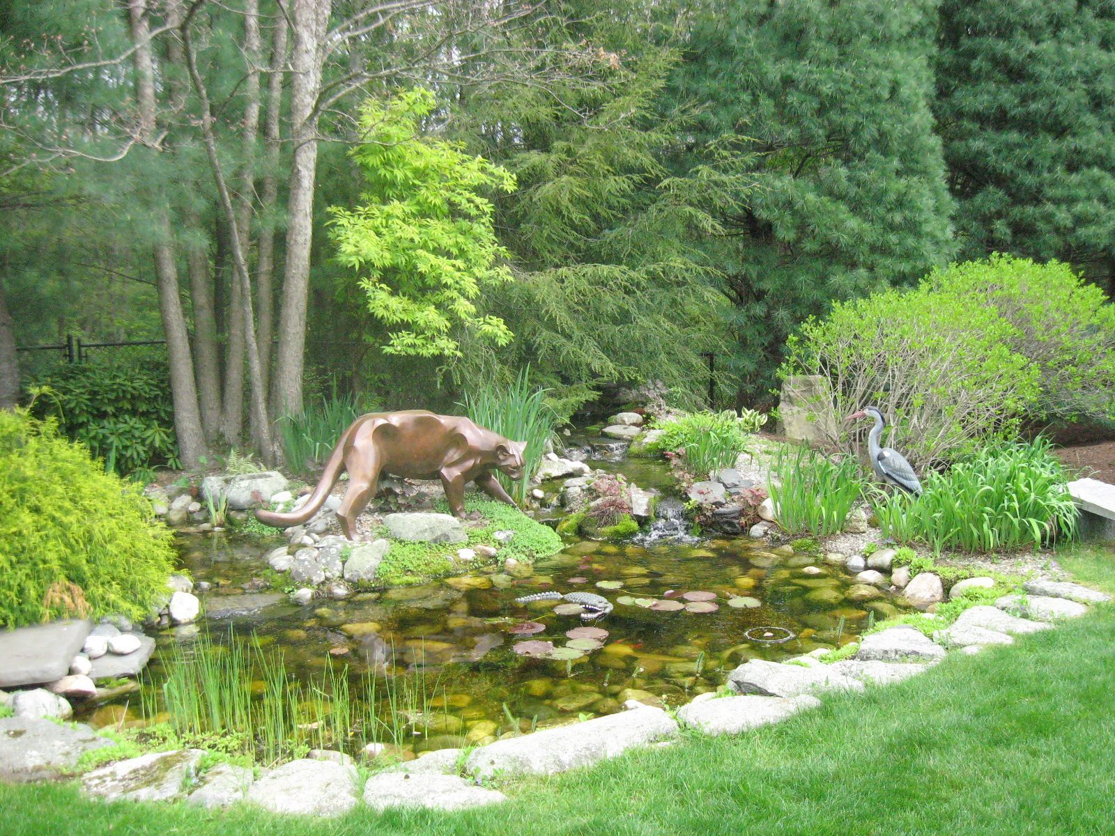 A pond in a garden setting with a cougar statue drinking water, a blue heron, and green foliage.