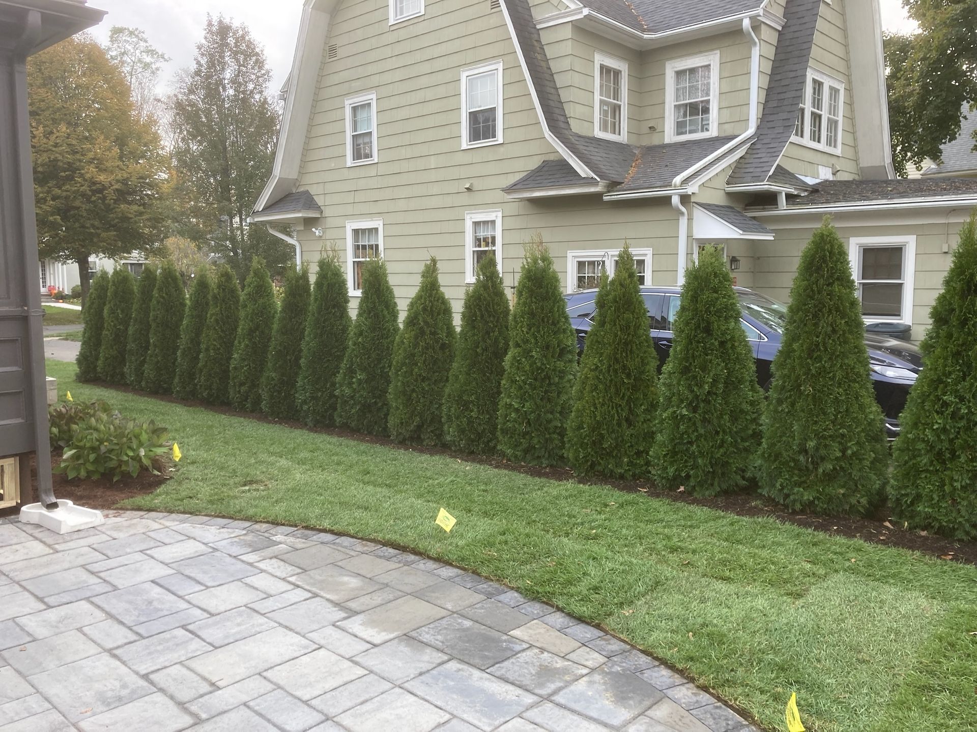 A row of evergreen trees lines a lush green lawn, next to a paved walkway and a large house.