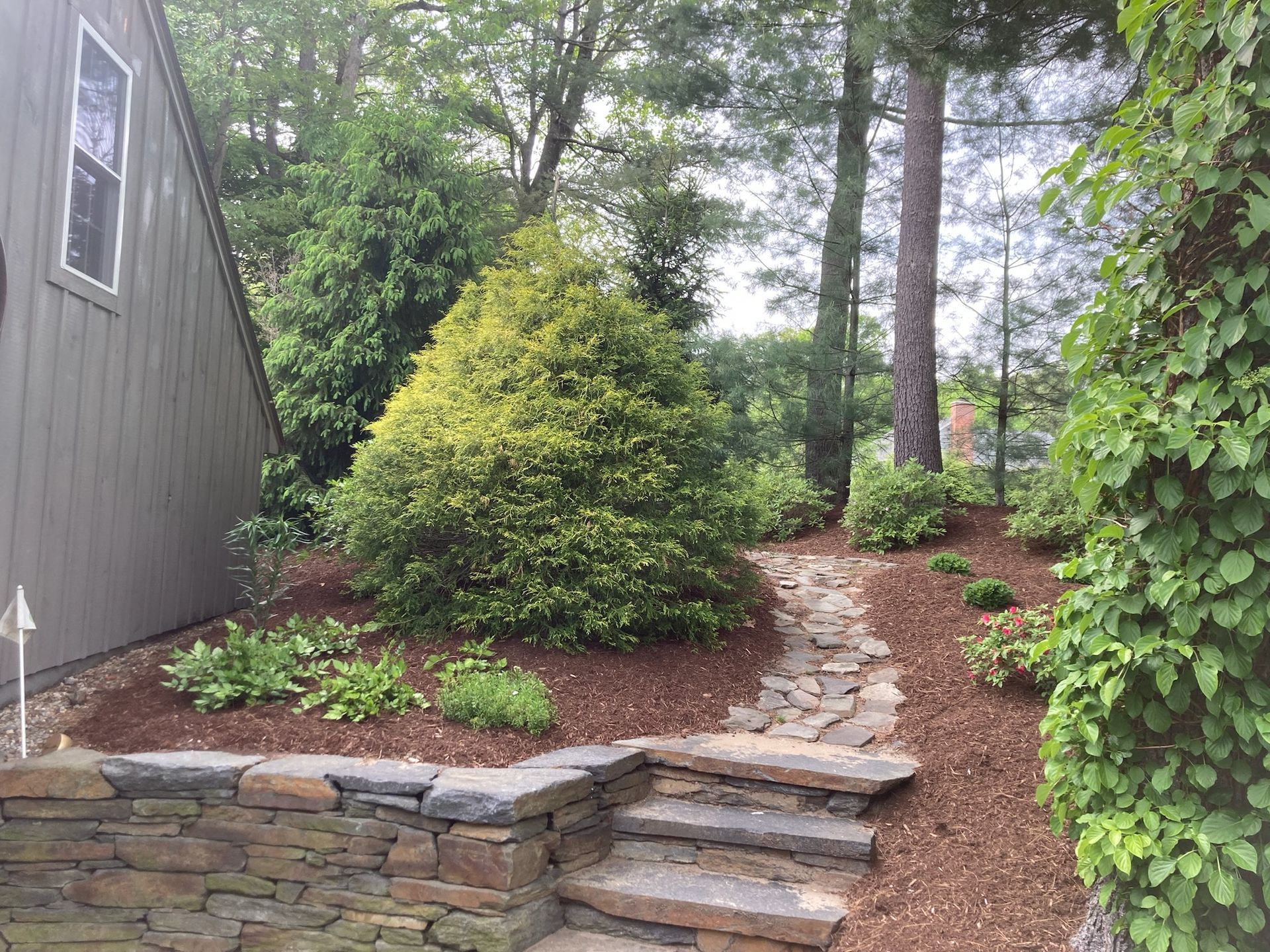 Stone steps lead up a mulched slope with various shrubs and trees, next to a house.