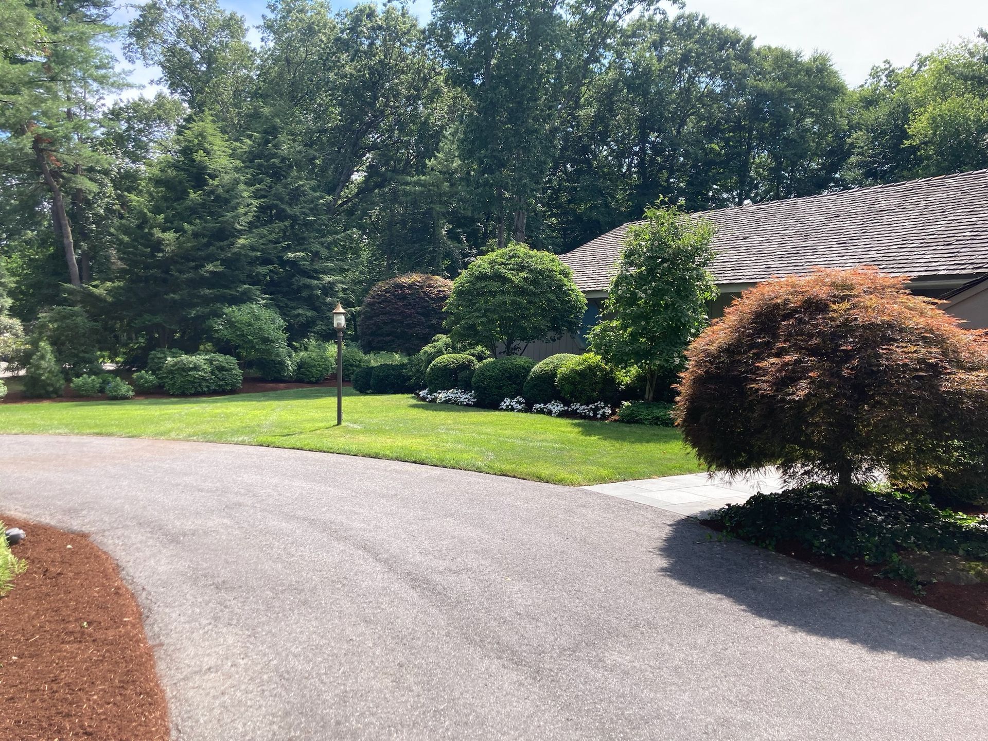 Asphalt driveway leads to a house with lush greenery, trees, and a decorative shrub in the yard.