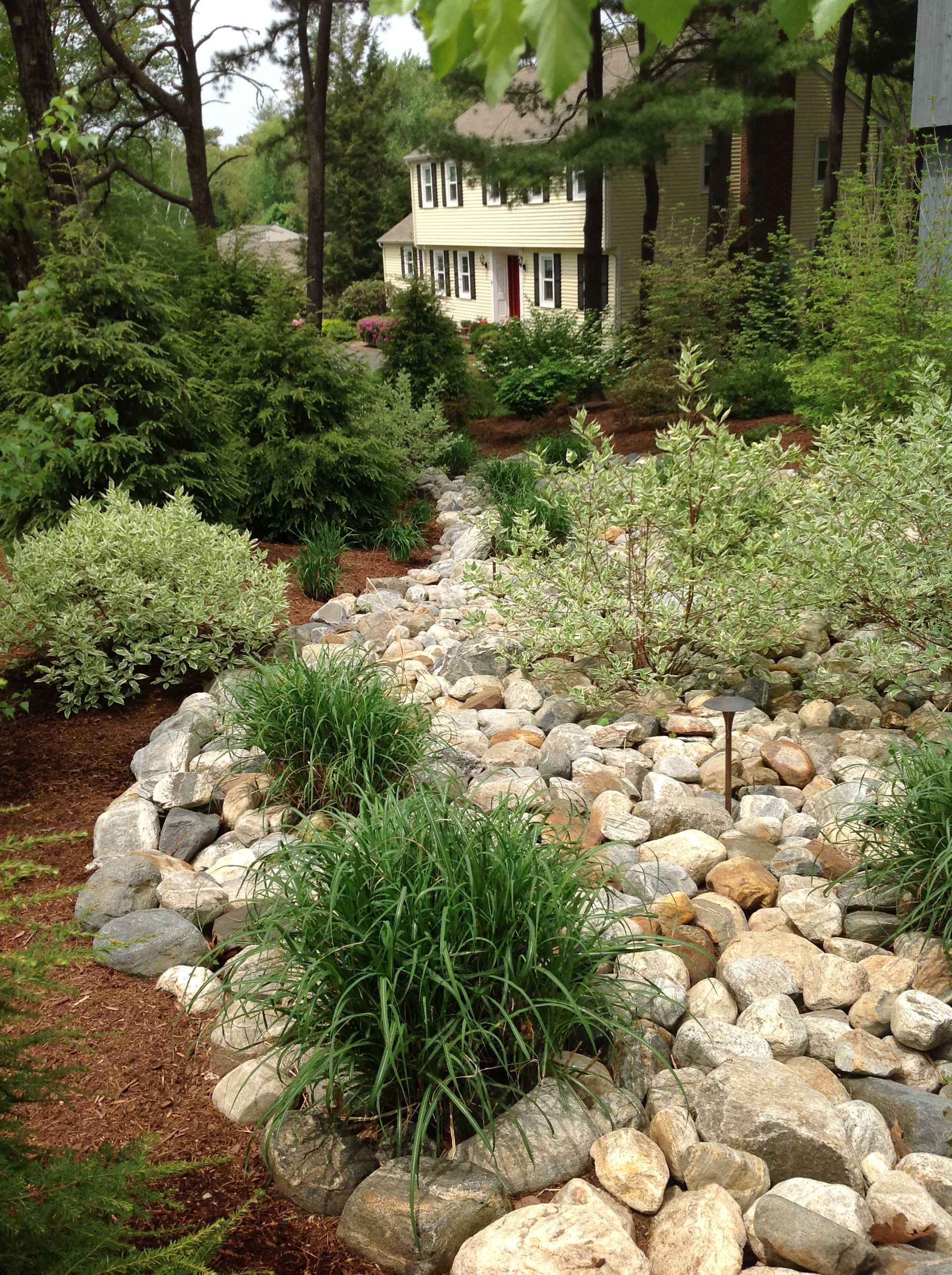 Stone-lined garden bed with lush greenery and a light-colored house in the background.