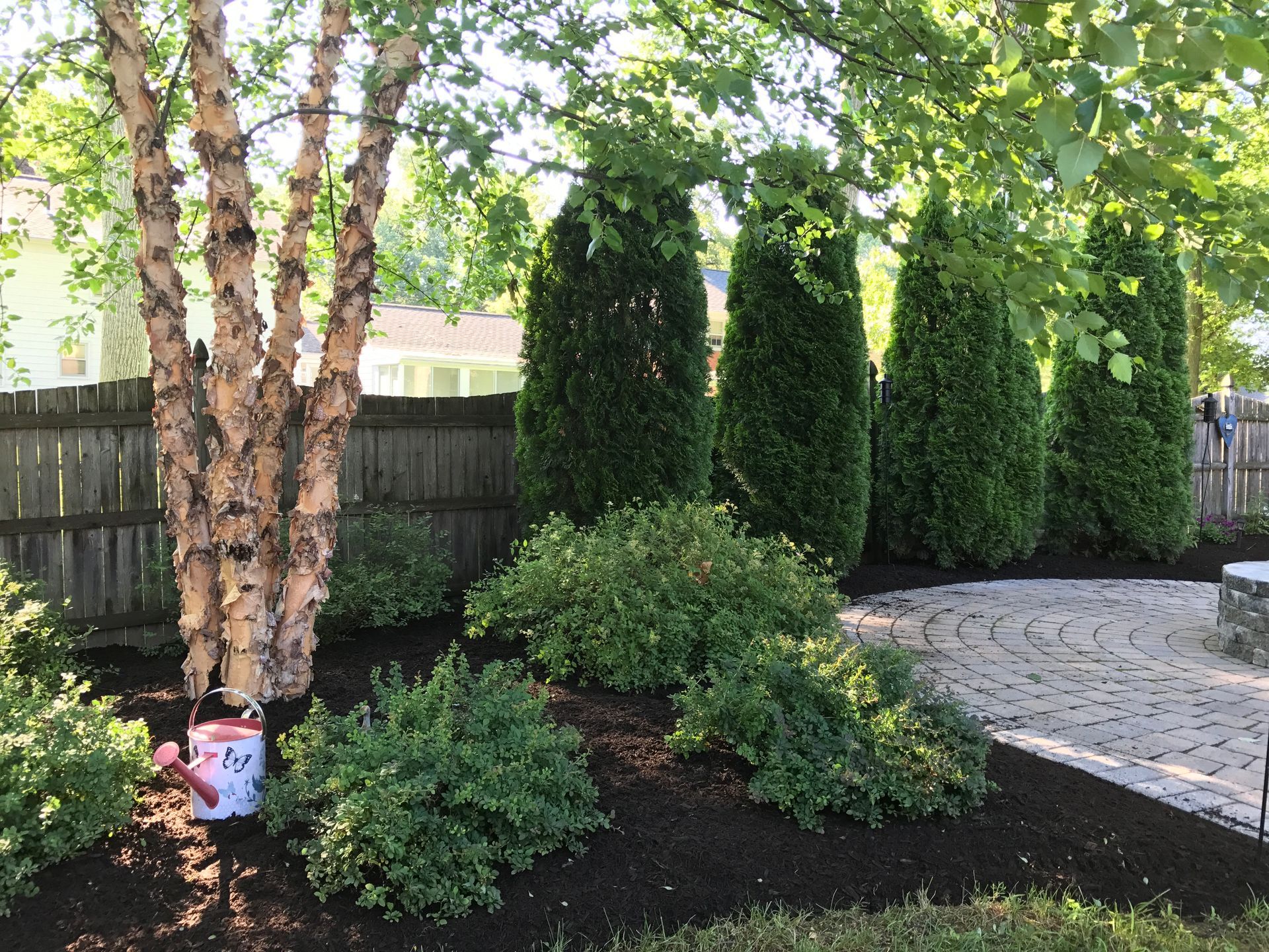 Landscape design with birch tree, evergreens, and natural stone patio installed by By Design Landscape Concepts