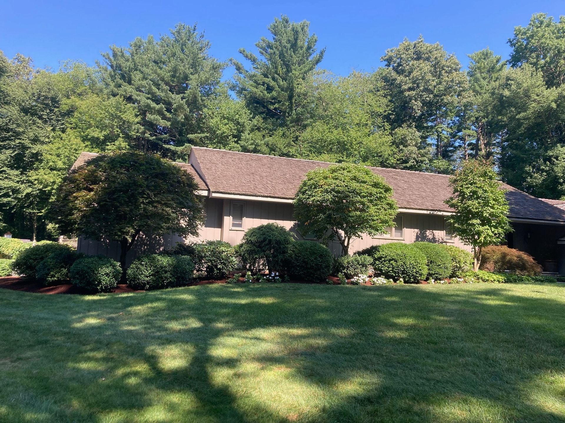 A single-story beige house with a brown roof surrounded by green trees and bushes, on a sunny day.