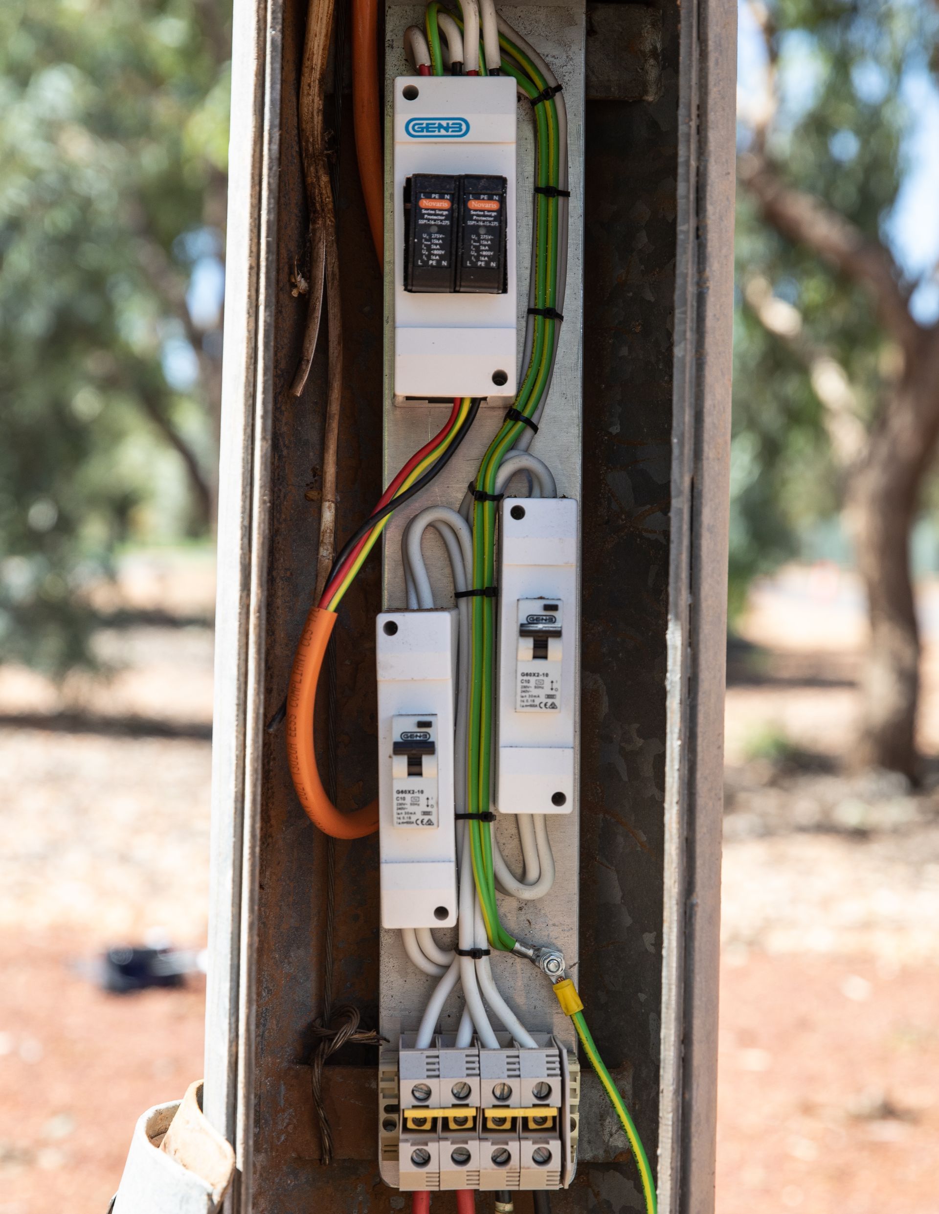 Electrical control panel mounted on a tree trunk with exposed wires and circuit breakers