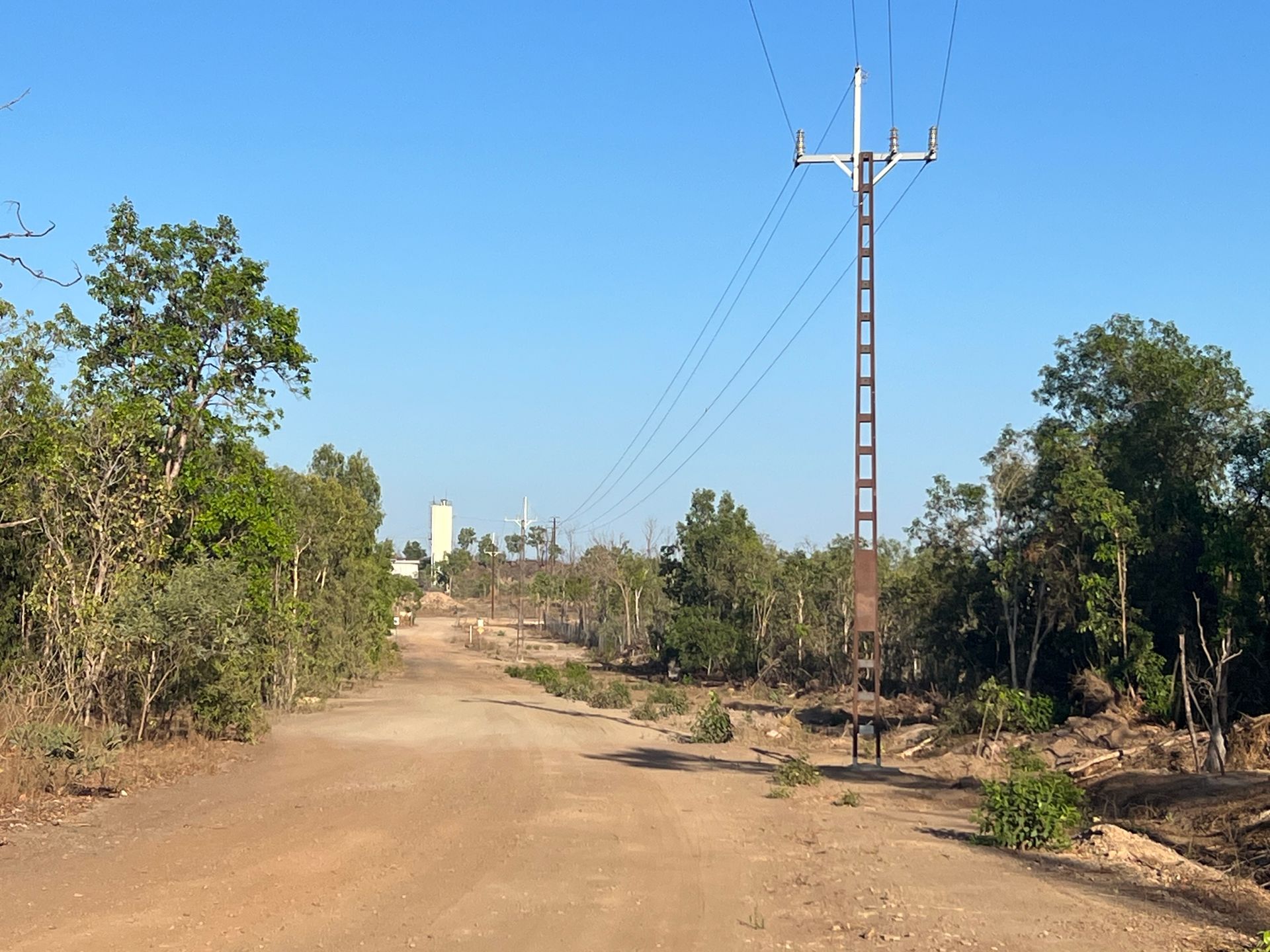 Dirt road through sparse trees with utility poles under a clear blue sky
